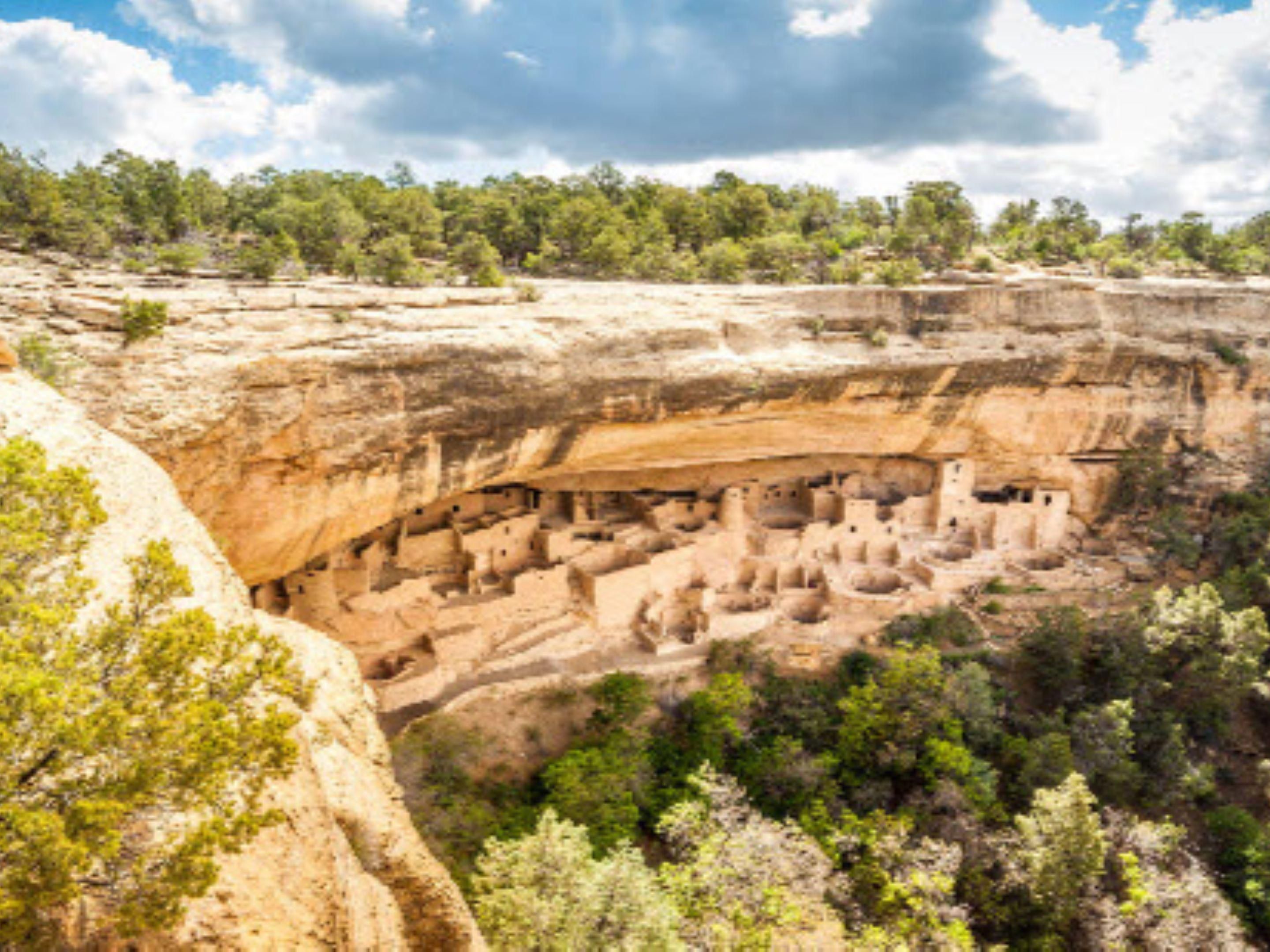 يقع مدخل حديقة Messa Verde الوطنية في المواقع على بعد دقائق فقط 10 من فندقنا. تحمي الحديقة التراث الثقافي الغني لـ 27 Pueblos و Tribes وتوفر للزوار نافذة مذهلة على الماضي. يعد هذا الموقع التراثي العالمي ومنتزه Dark Sky الدولي موطنًا لأكثر من ألف نوع ، بما في ذلك العديد من الأنواع التي لا تعيش في أي مكان آخر.