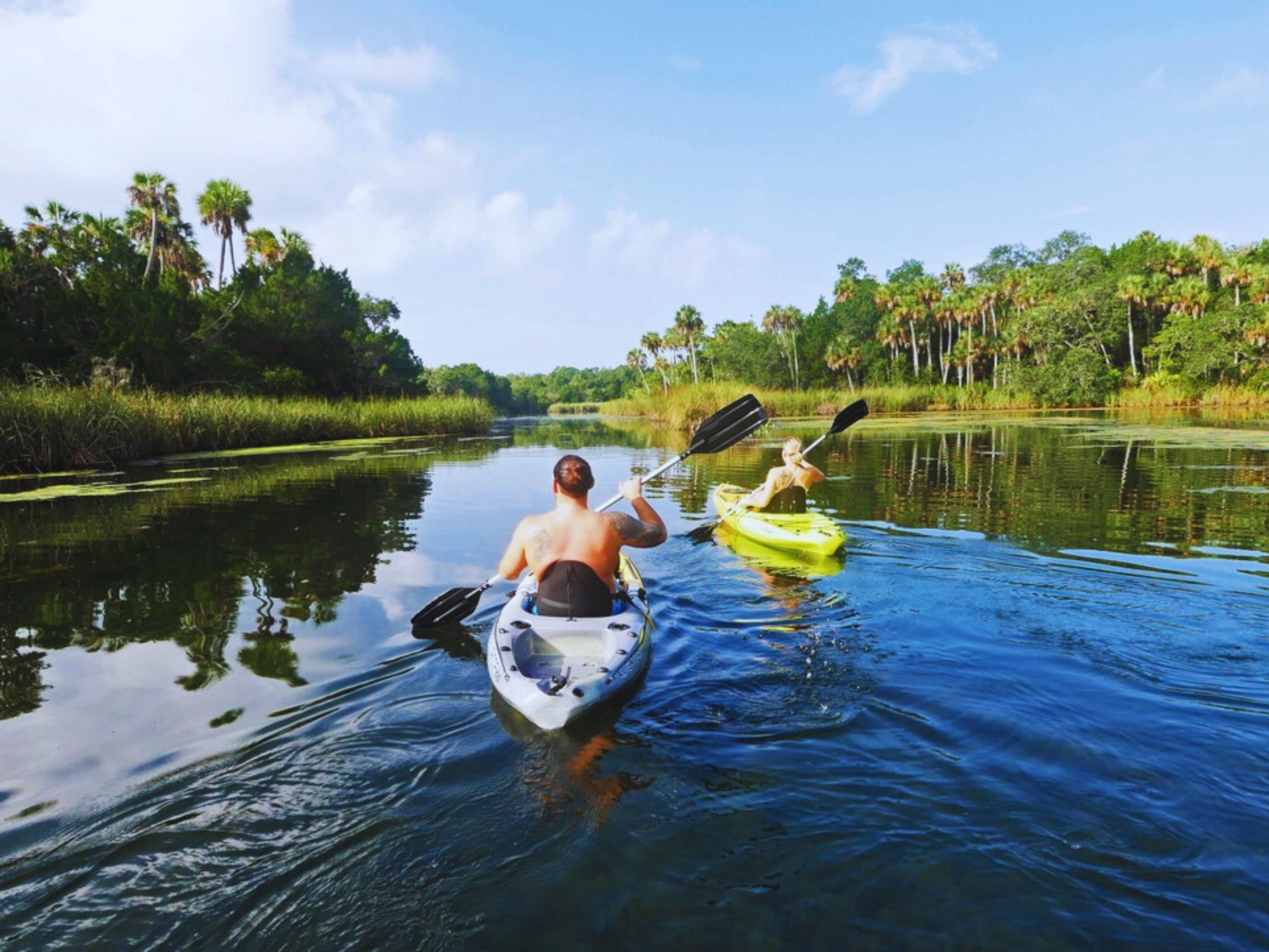 Things to do in Crystal River near Holiday Inn Express Crystal River Hotel