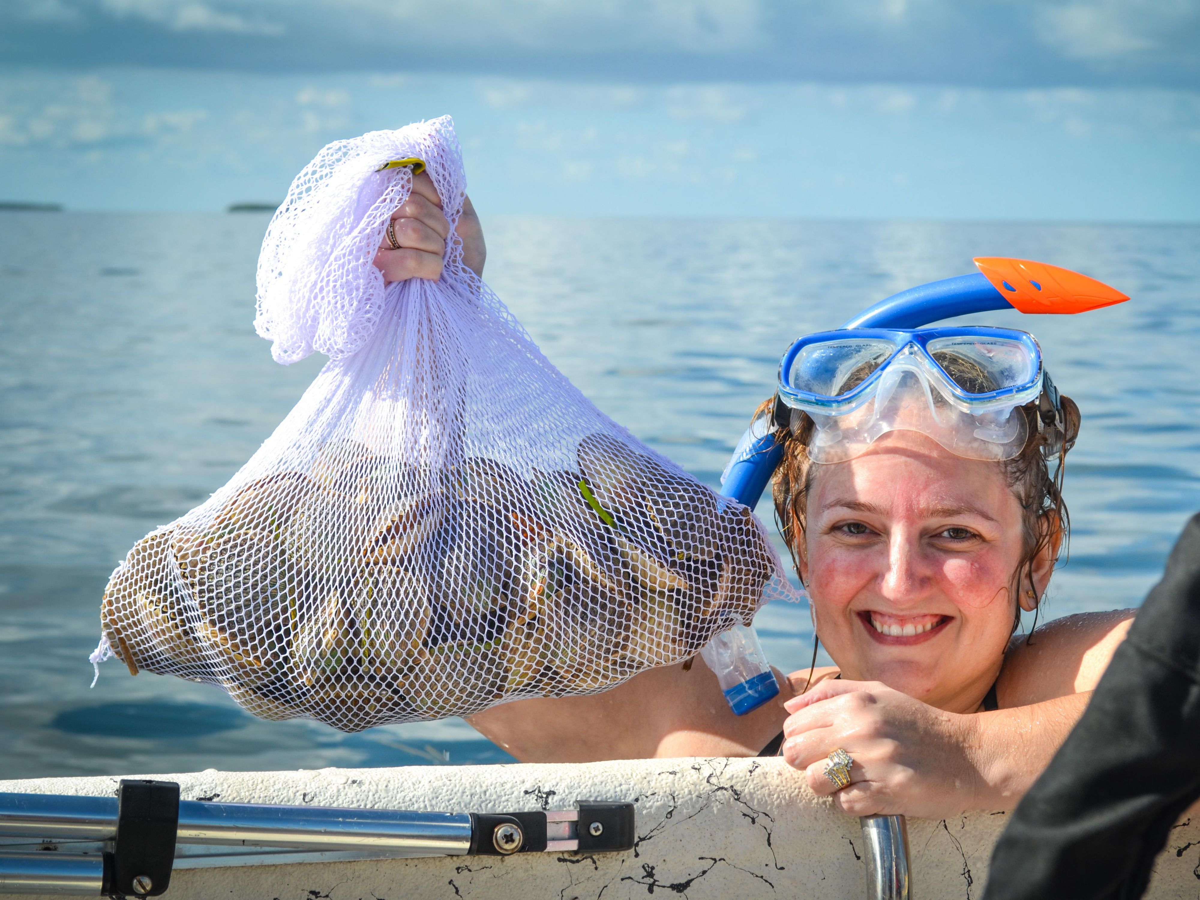 Affordable Crystal River, Florida Hotel Holiday Inn Express Crystal River