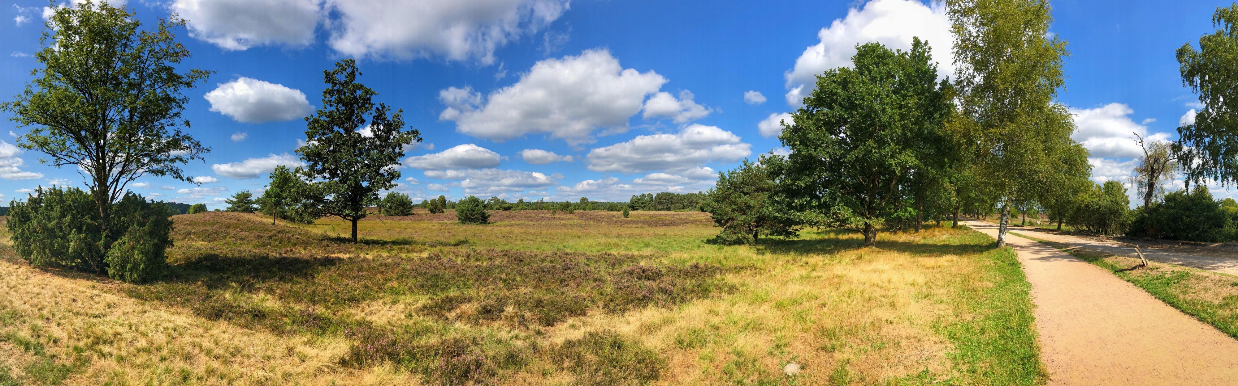 Lüneburger Heide