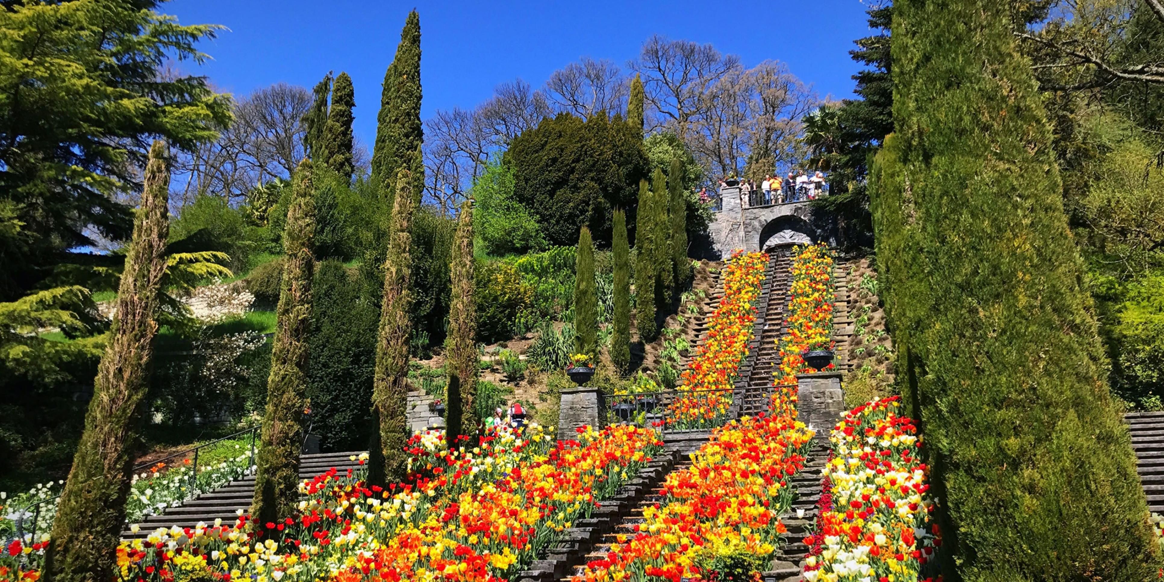 Besuchen Sie die Blumeninsel Mainau und entdecken Sie wunderschöne Gärten, entspannen Sie am Bodenseeufer im Schatten der Bäume und genießen Sie die tolle Atmosphäre. Nehmen Sie teil an einer Schlossführung und gönnen Sie sich in einem der Biergärten ein kühles Getränk und einen kleinen Snack.