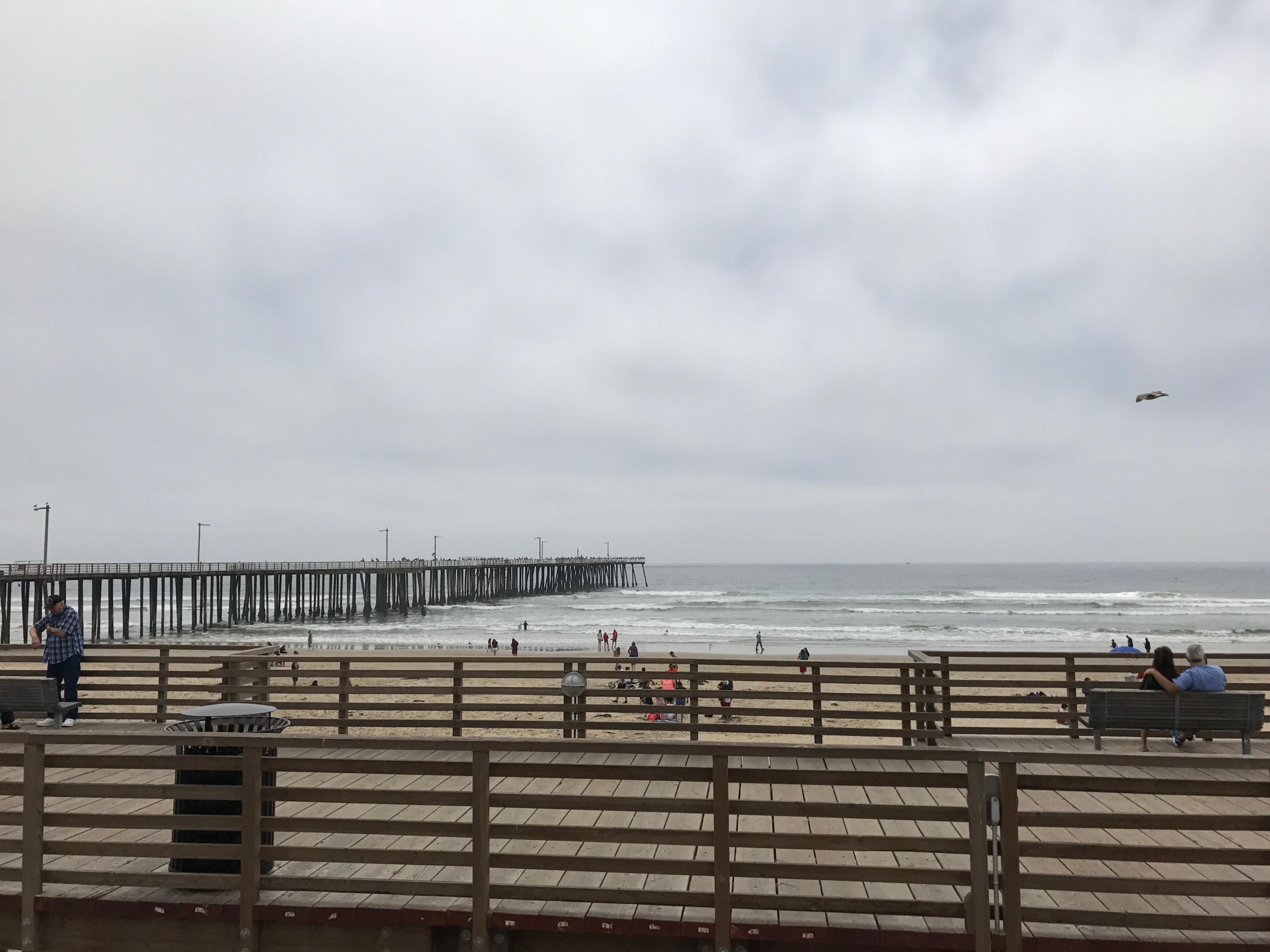 Drive on Oceano Dunes State Vehicular Recreation Area, less than 10 minutes from our hotel. This is the only beach in California where you can drive your vehicle on the sand! Rent ATVs or take your car for a thrilling ride while enjoying the scenic ocean views and crashing waves.