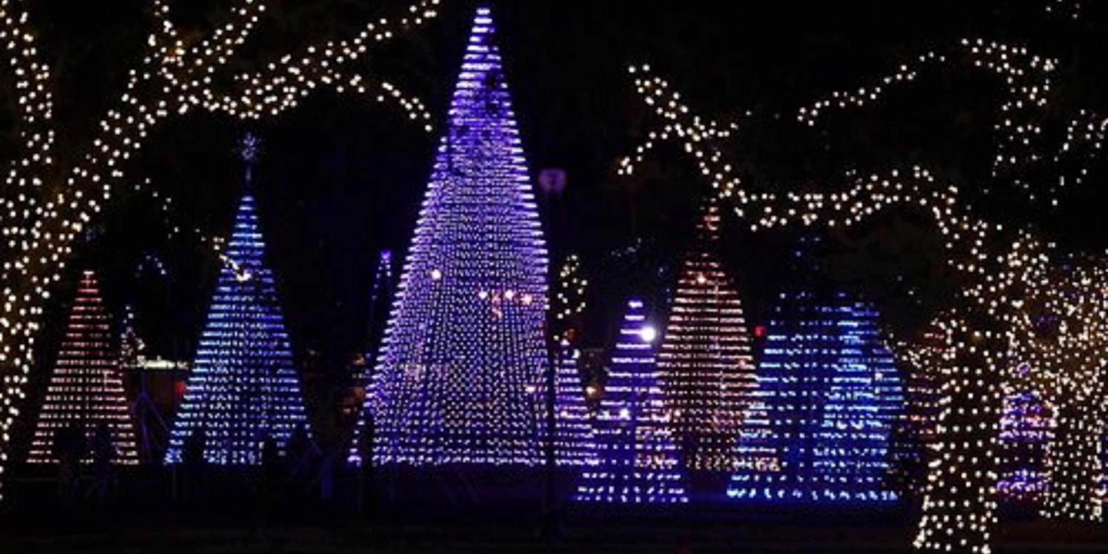 Gulfport Christmas Lights 2022 Hotel In Gulfport, Mississippi | Holiday Inn Express Gulfport Beach