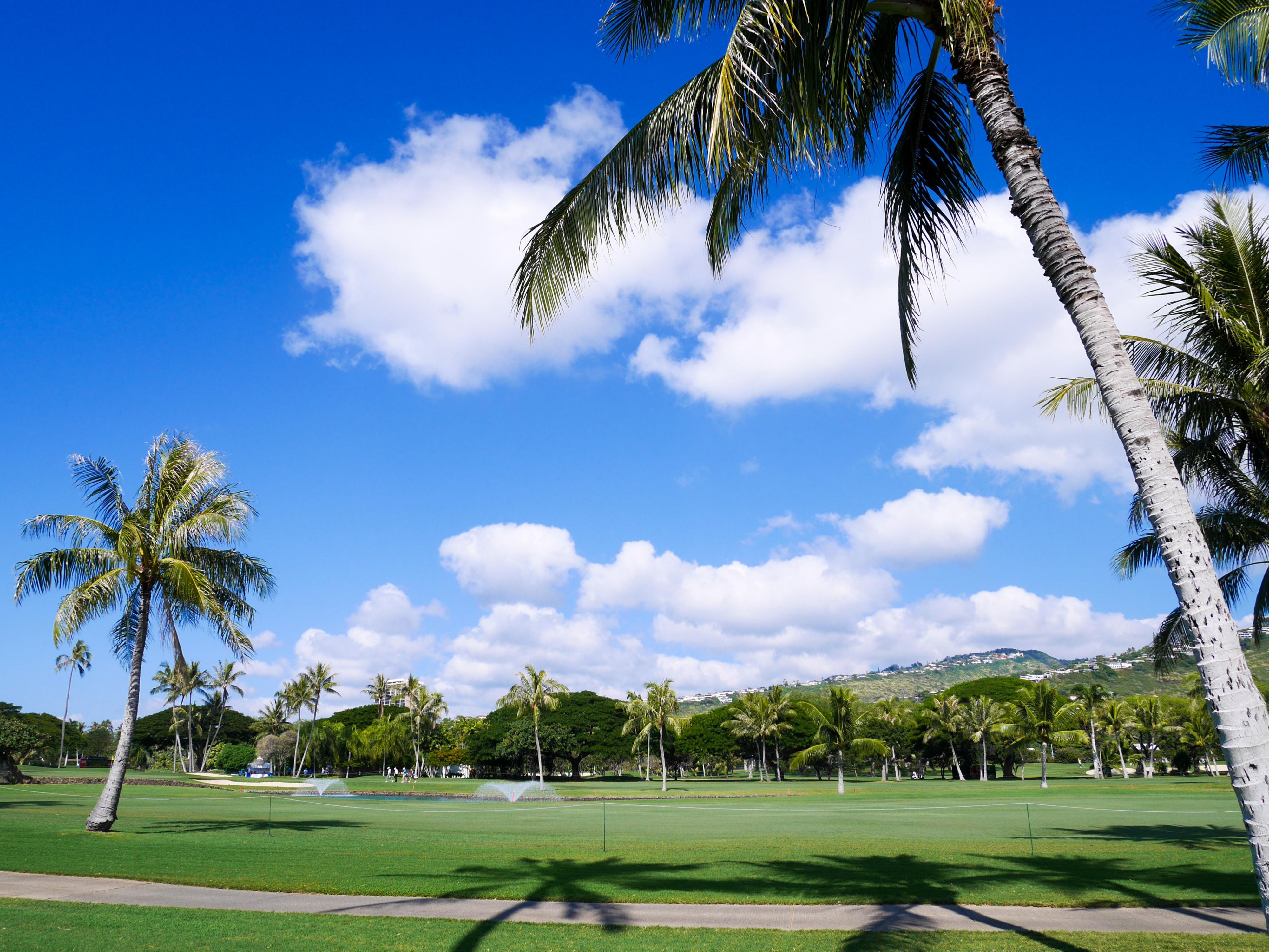 Enjoy one of the many golf courses on Oahu
