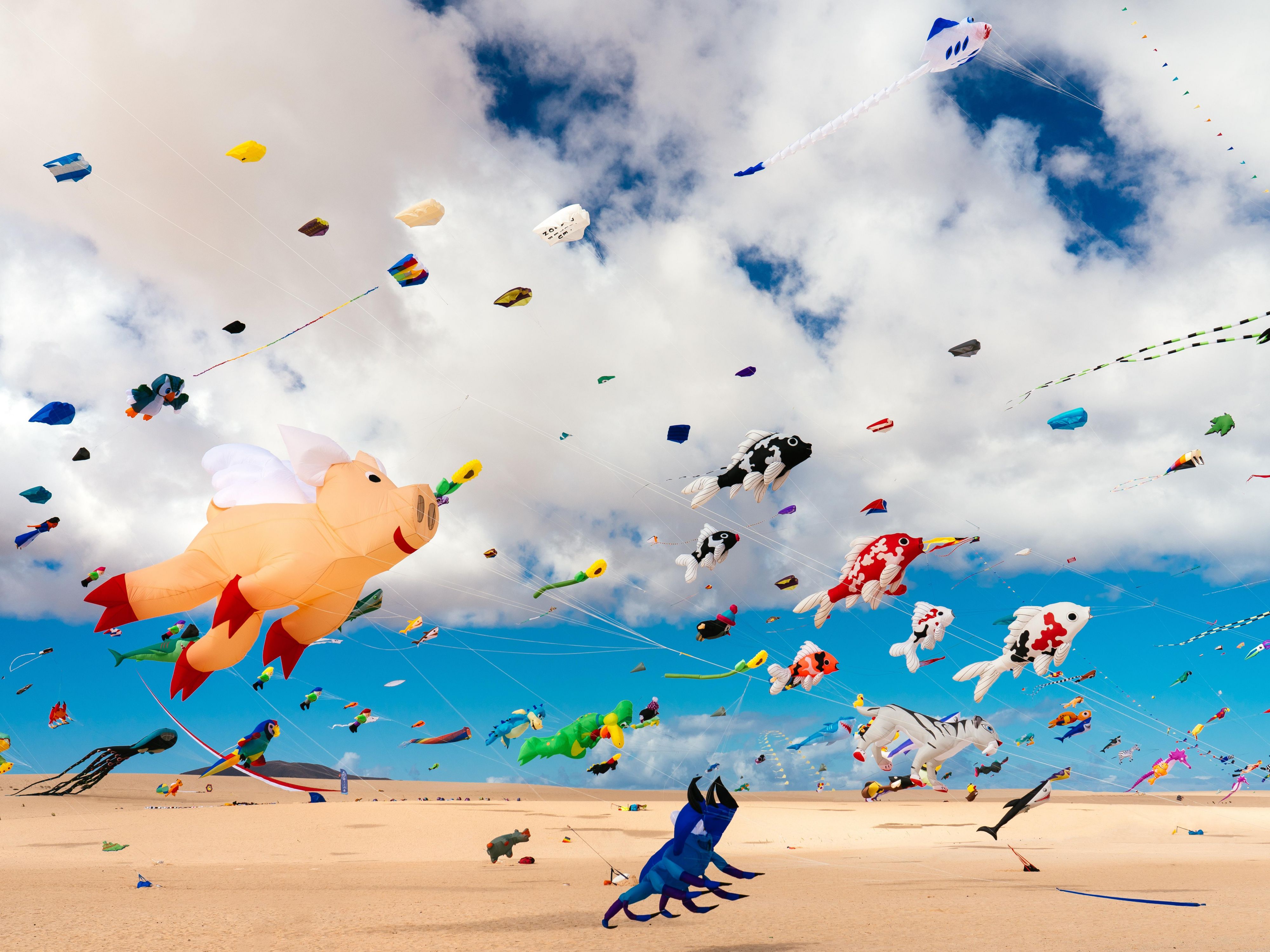 Things to do in Kitty Hawk near Holiday Inn Express Kitty Hawk Outer