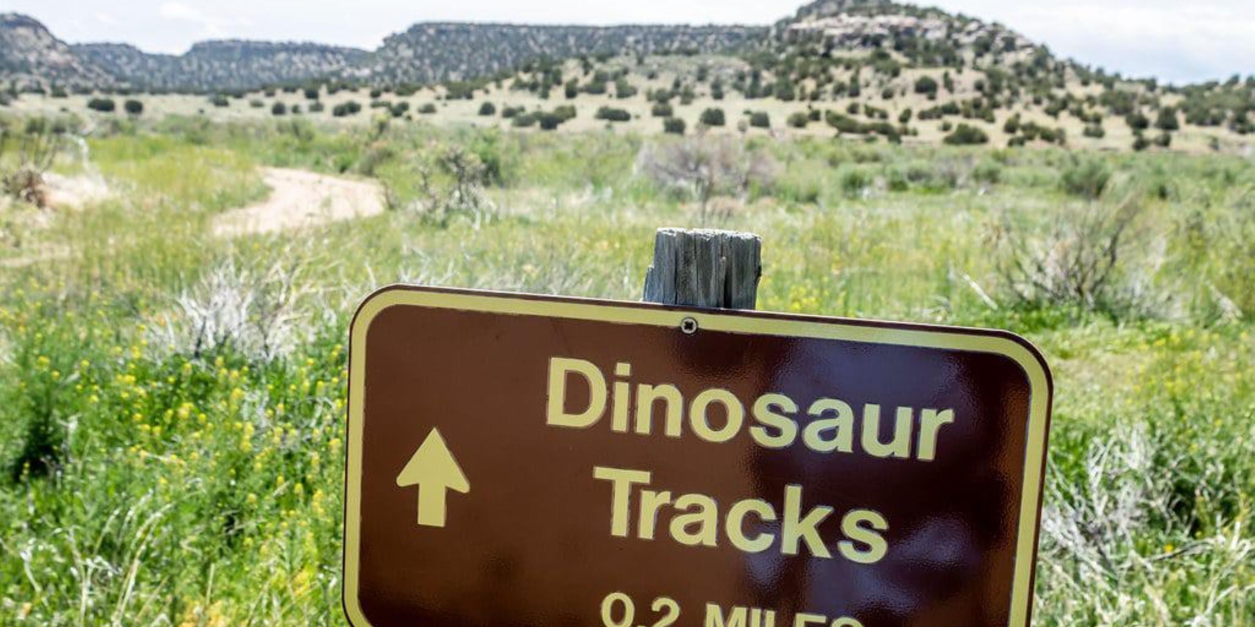 Along the Purgatory River tracks, from dinosaurs such as Apatosaurus (brontosaurus), stegosaurus and Allosaurus are found.
