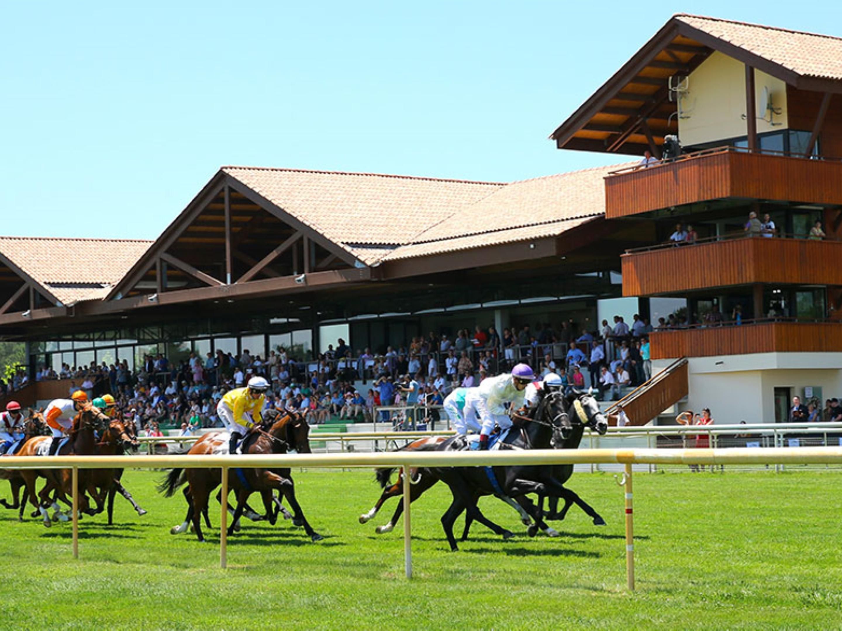 Only minutes from Holiday Inn Express Arcachon – La Teste-de-Buch, enjoy a great day at the races!
Thanks to our partnership, guests can enjoy special room rates and race entry tickets (subject to availability).
Just ask our front desk for details!