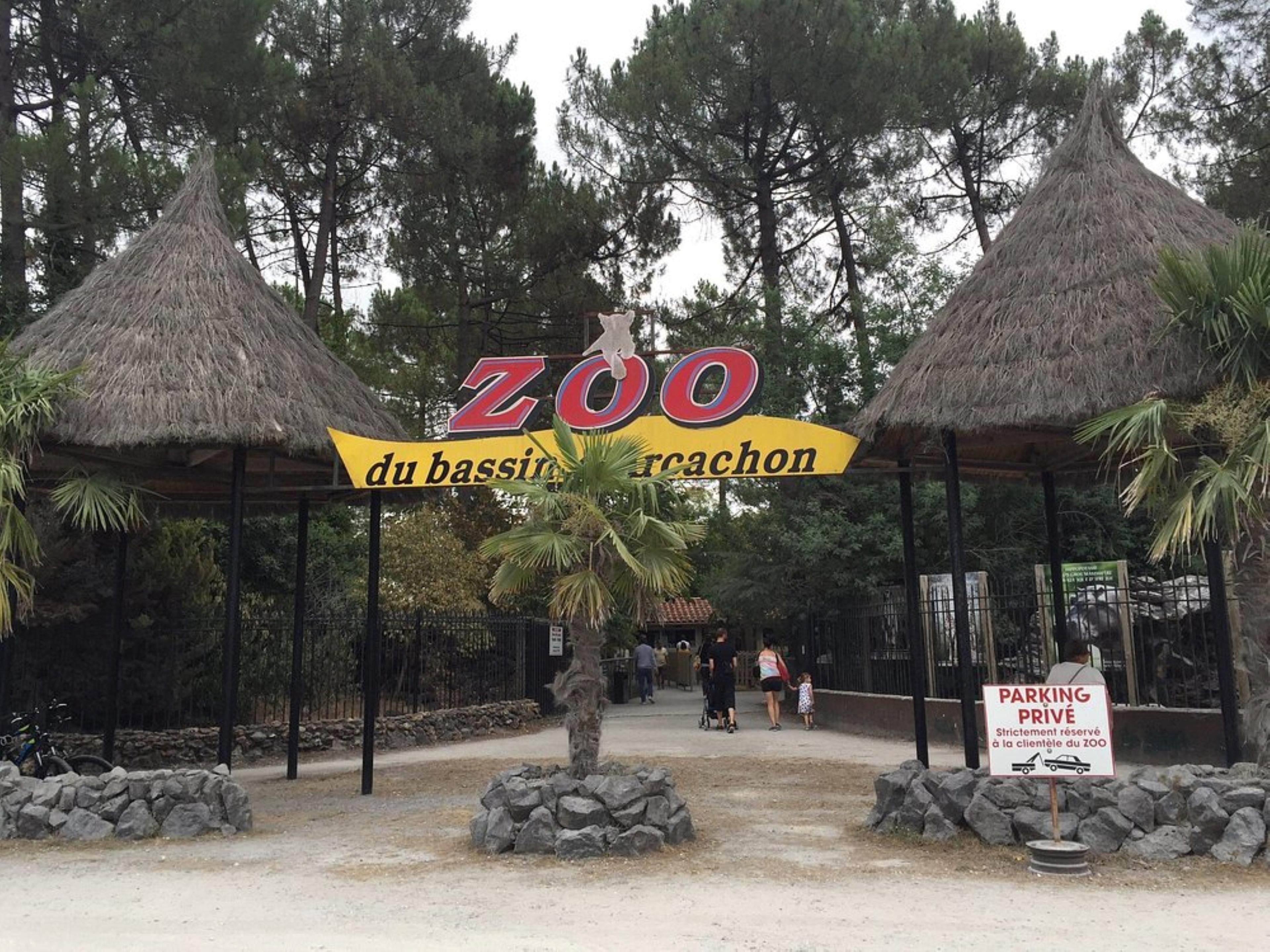 The Holiday Inn Express Arcachon – La Teste is the perfect choice for a family getaway. Just minutes from the Arcachon Basin Zoo, enjoy a comfortable and welcoming hotel with complimentary breakfast and family-friendly rooms—ideal for creating lasting memories with your children.