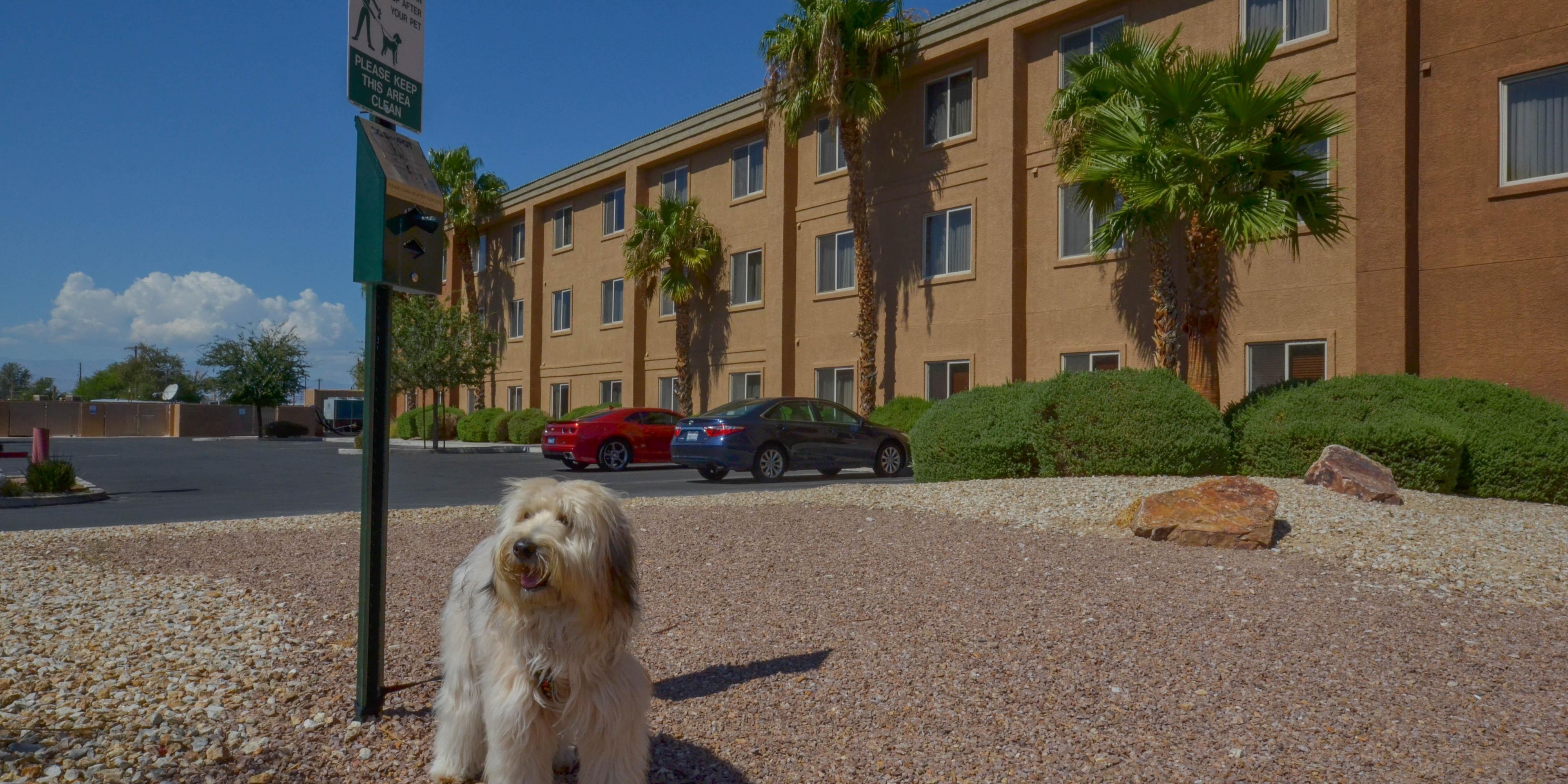 We love having the family pet with us to make your stay extra comfortable.  The Holiday Inn Express Las Vegas Nellis has rooms that are pet friendly, and we have plenty of space for you to walk your pets.  Please call or email us for our pet fees and weight limits.