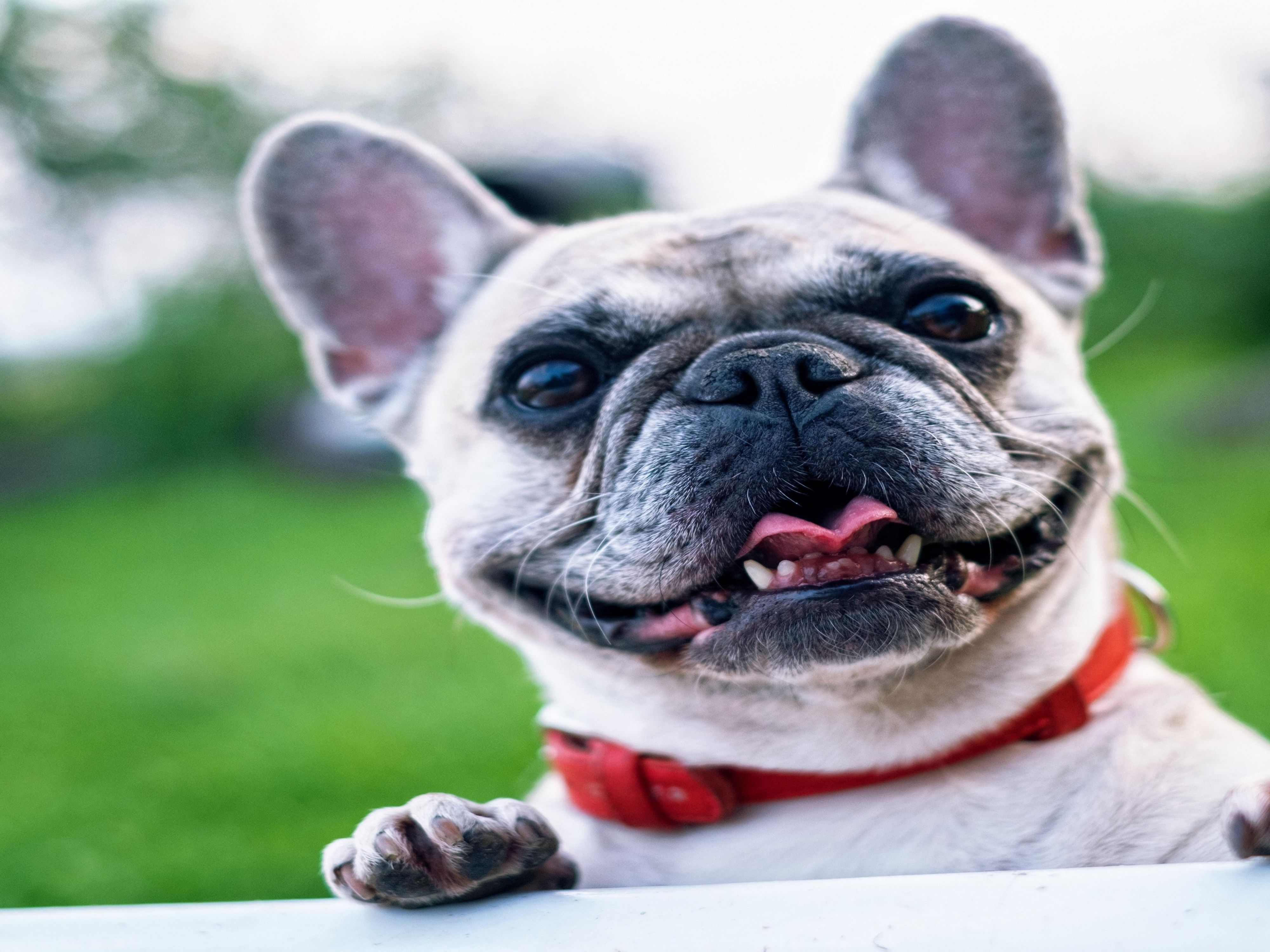 Affordable Hotels in Leroy, IL Holiday Inn Express Le Roy Bloomington Area