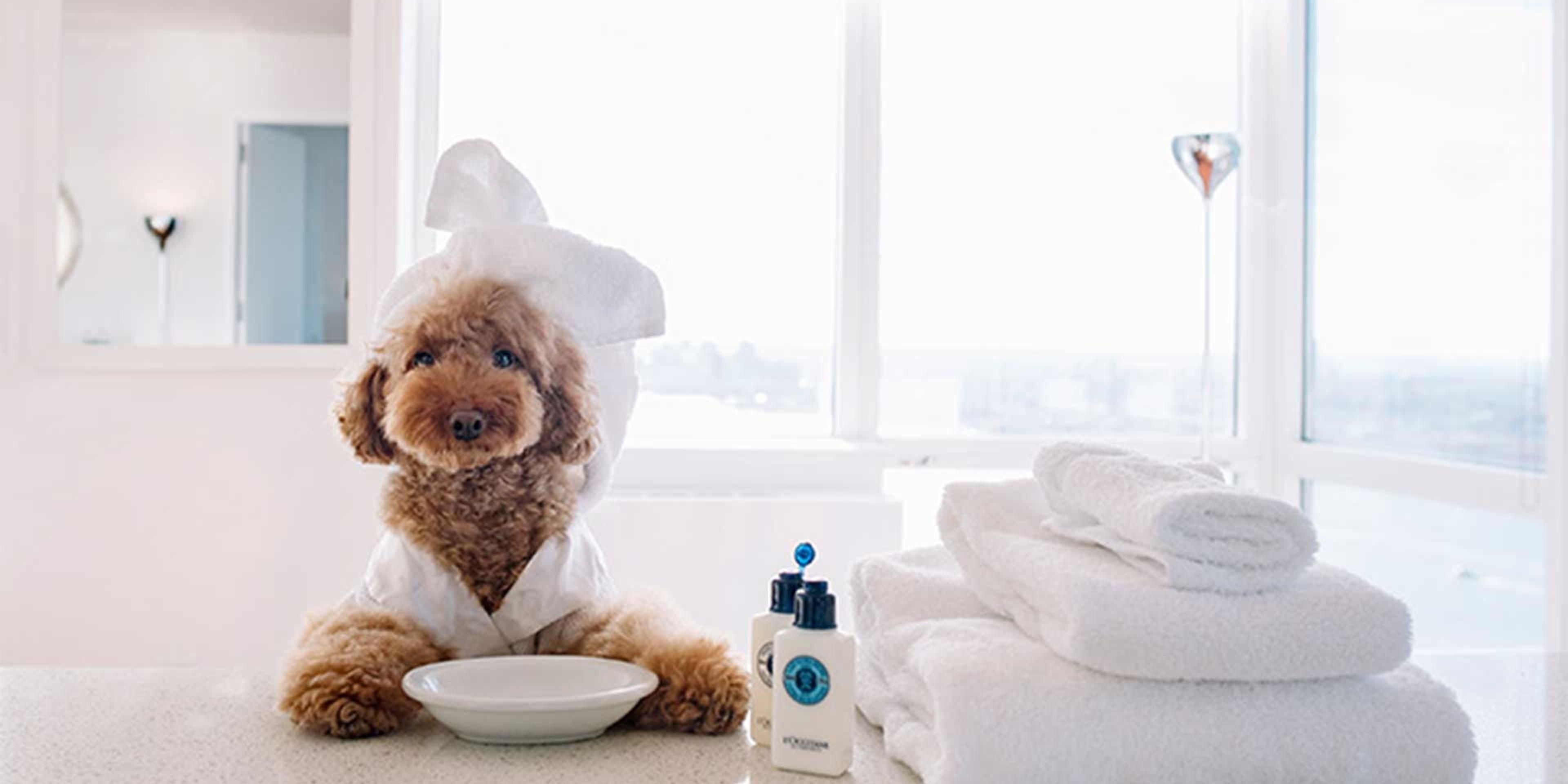 It's hard to leave your best buddy at home when you're traveling for extended periods. At the Holiday Inn Express Leland - Wilmington Area, we provide a friendly experience to humans and pets alike! Restrictions apply, please contact hotel for further details. 