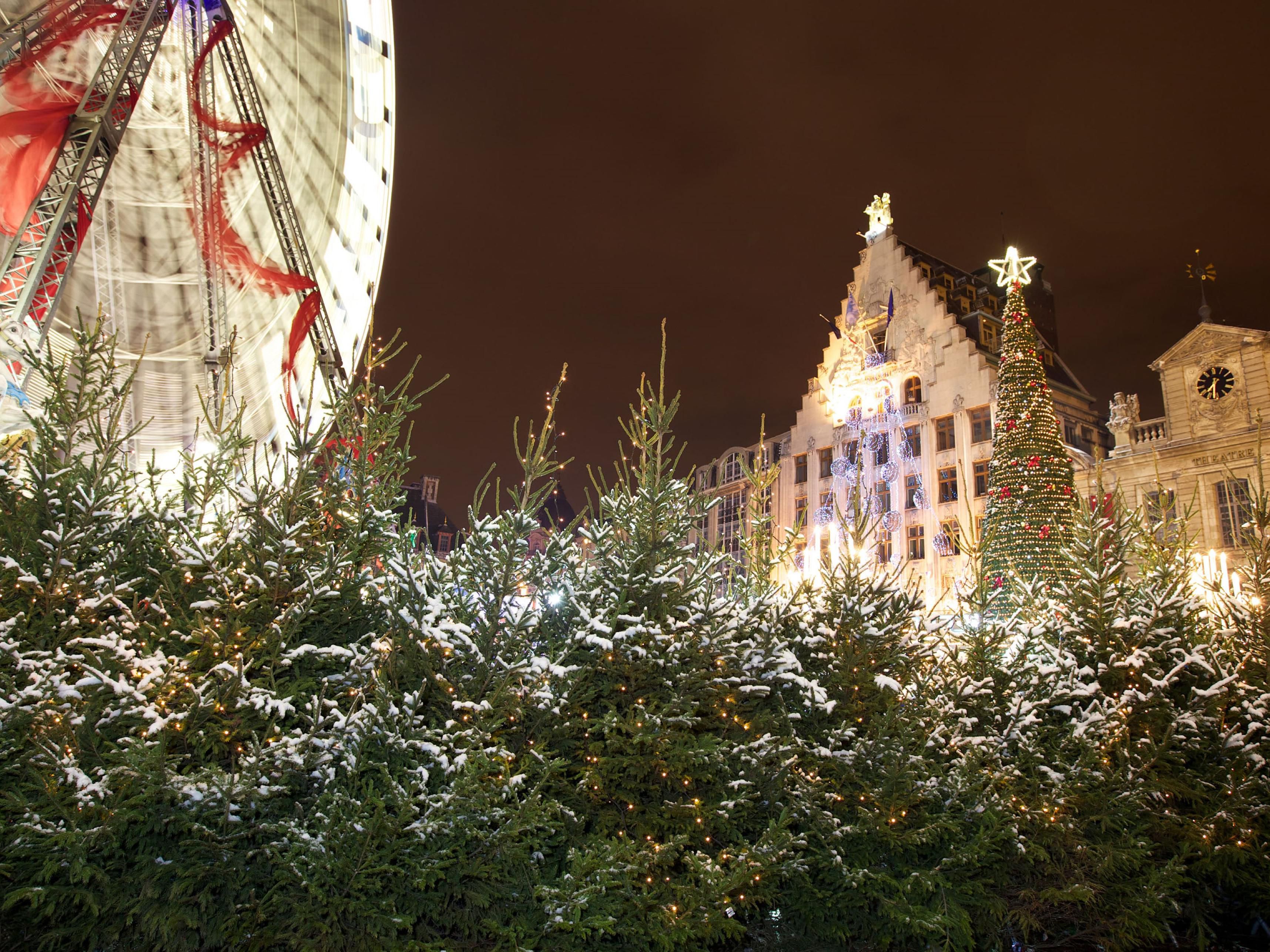 Let yourself be carried away by the spirit of Christmas, and its 88 chalets gathered on Place Rihour, a stone's throw from the Main square of Lille where the Big Wheel will be installed, from November 19th to December 30th, 2025. You will find original gift ideas there, and French specialties every day from 11:00 a.m. to 10:00 p.m.