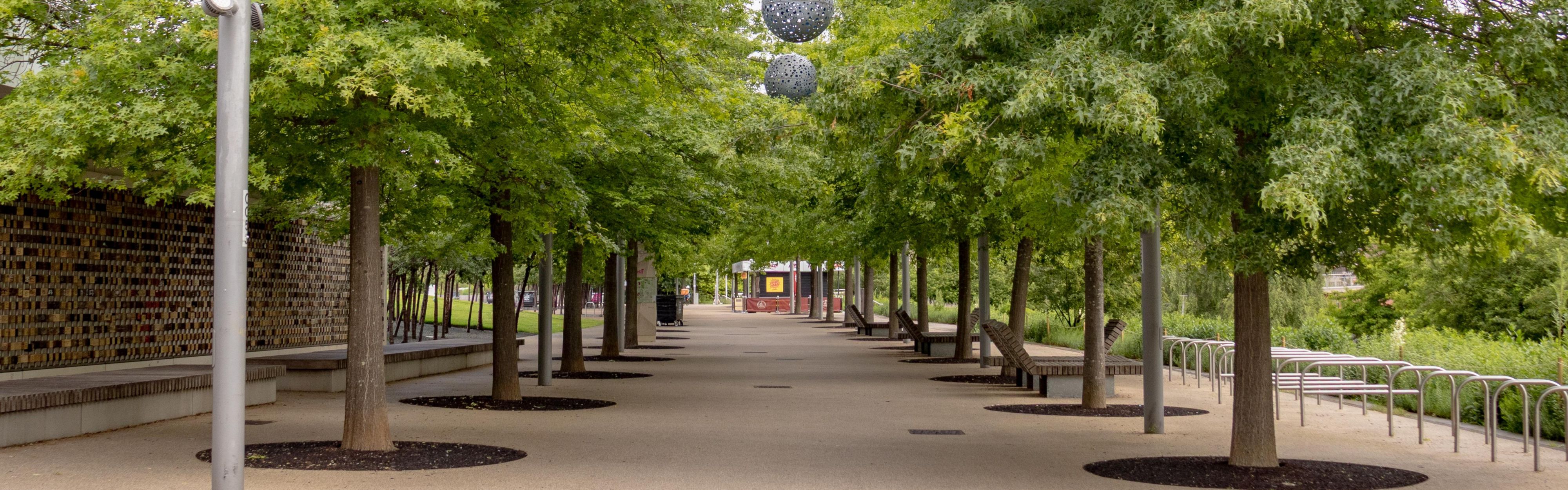 Discover green spaces and scenic walks nearby