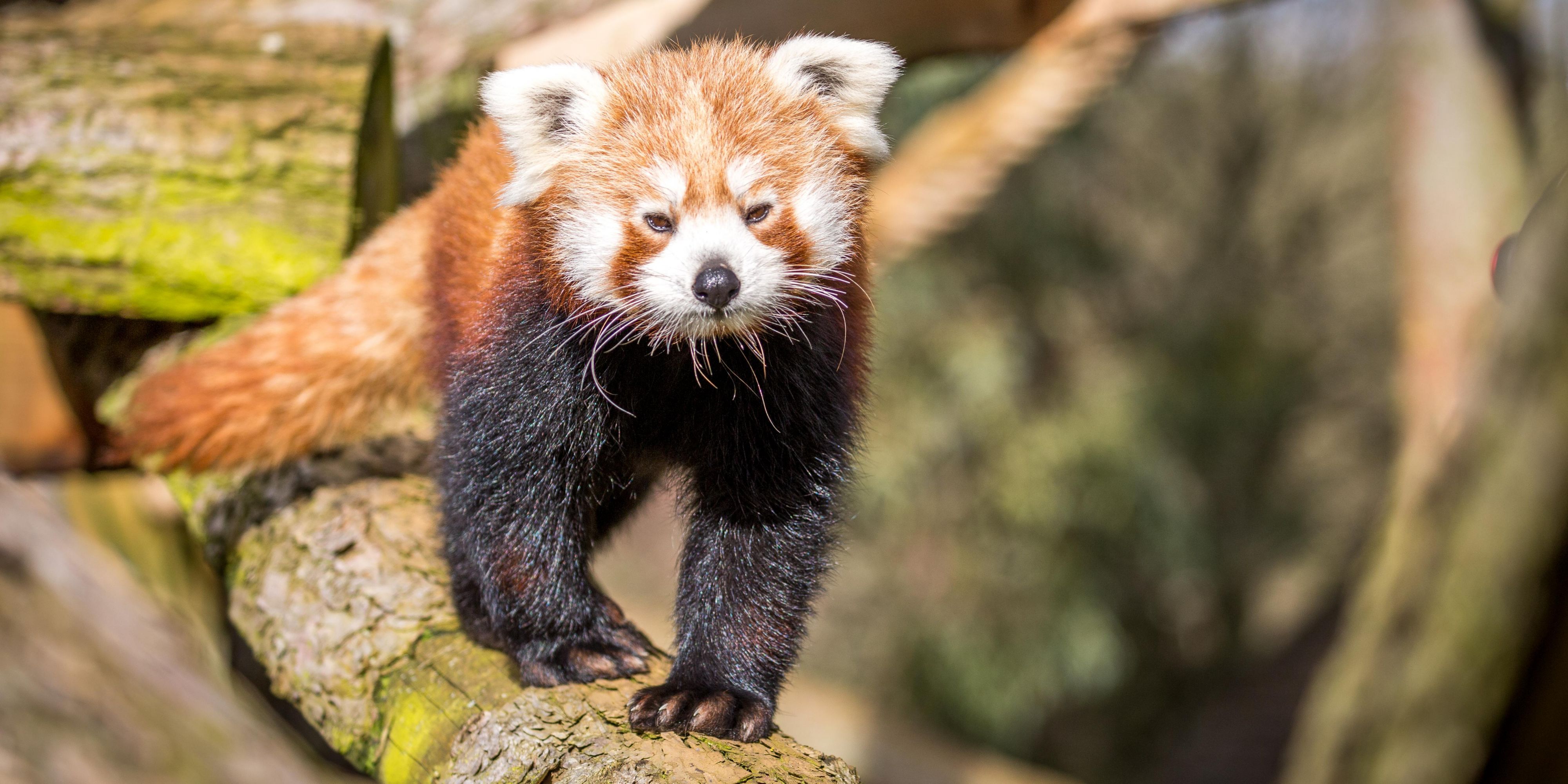 Cosa Fare A Milton Keynes Nelle Vicinanze Dell Hotel Milton Keynes