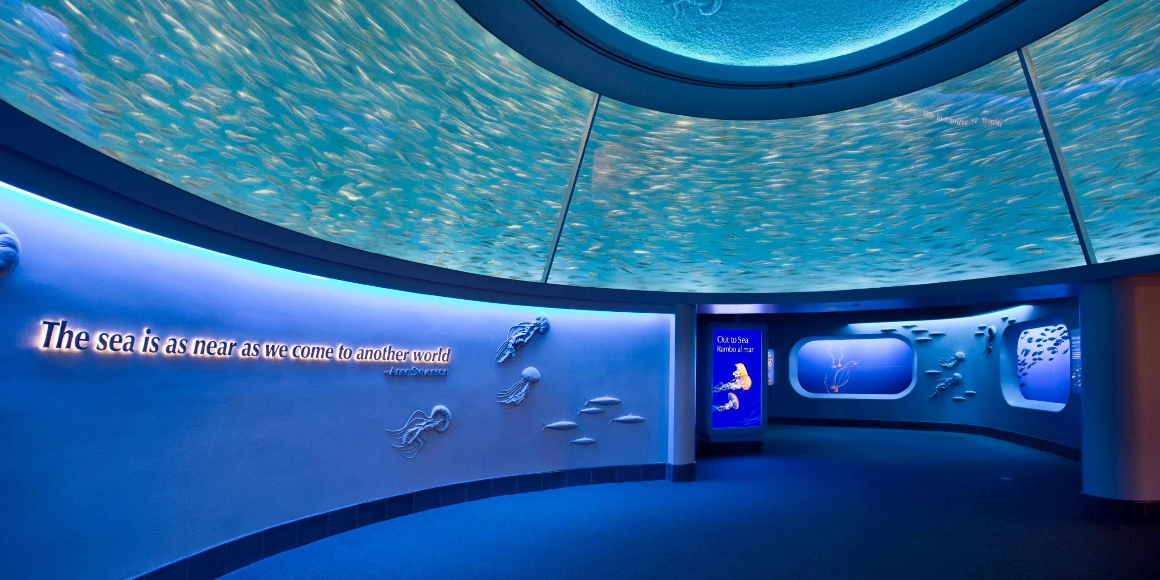Monterey Bay Aquarium is located within walking distance of our hotel. Tickets sold online in advance on the aquarium webpage. 