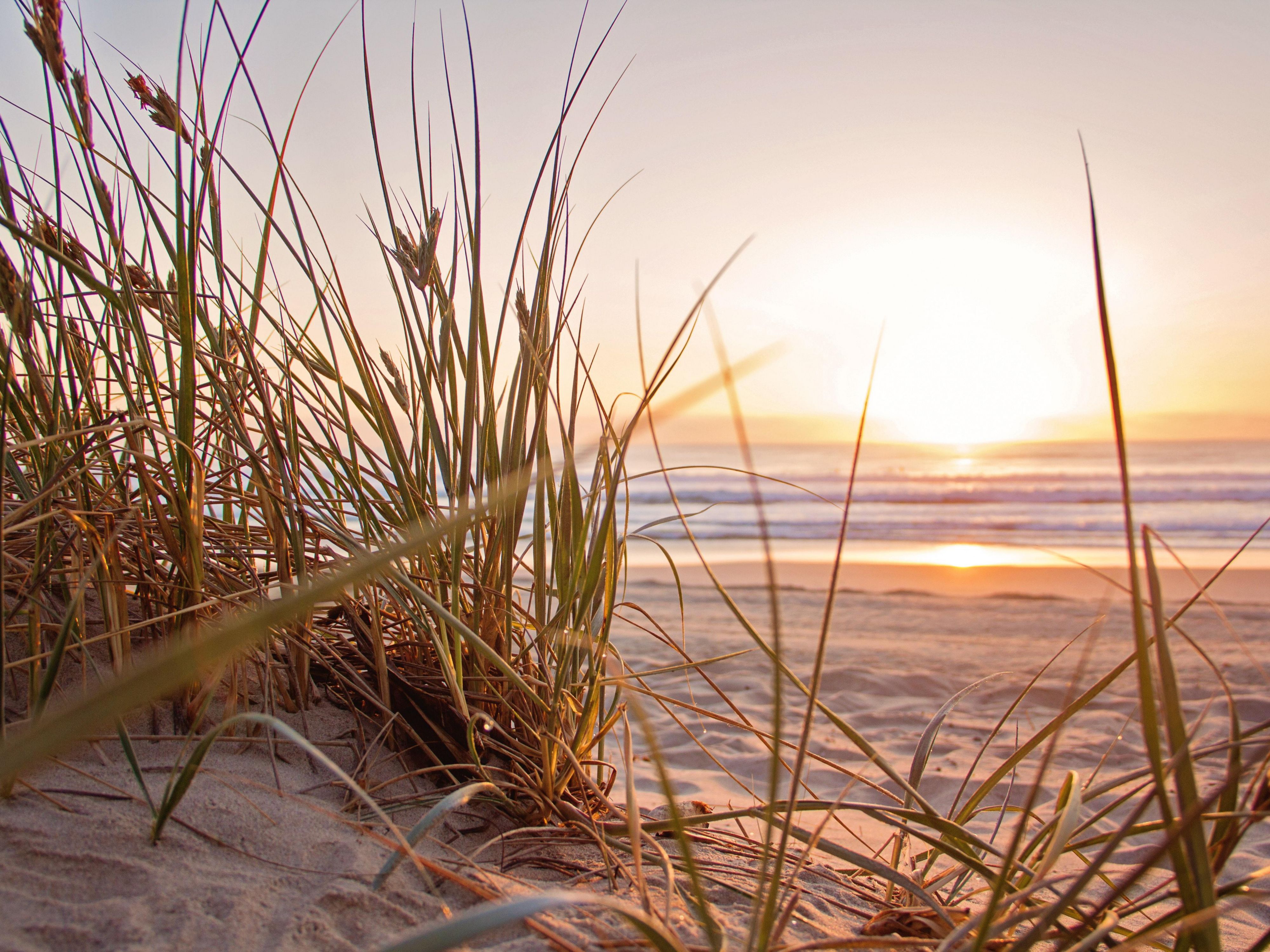 Earn IHG Points for a Greener Stay