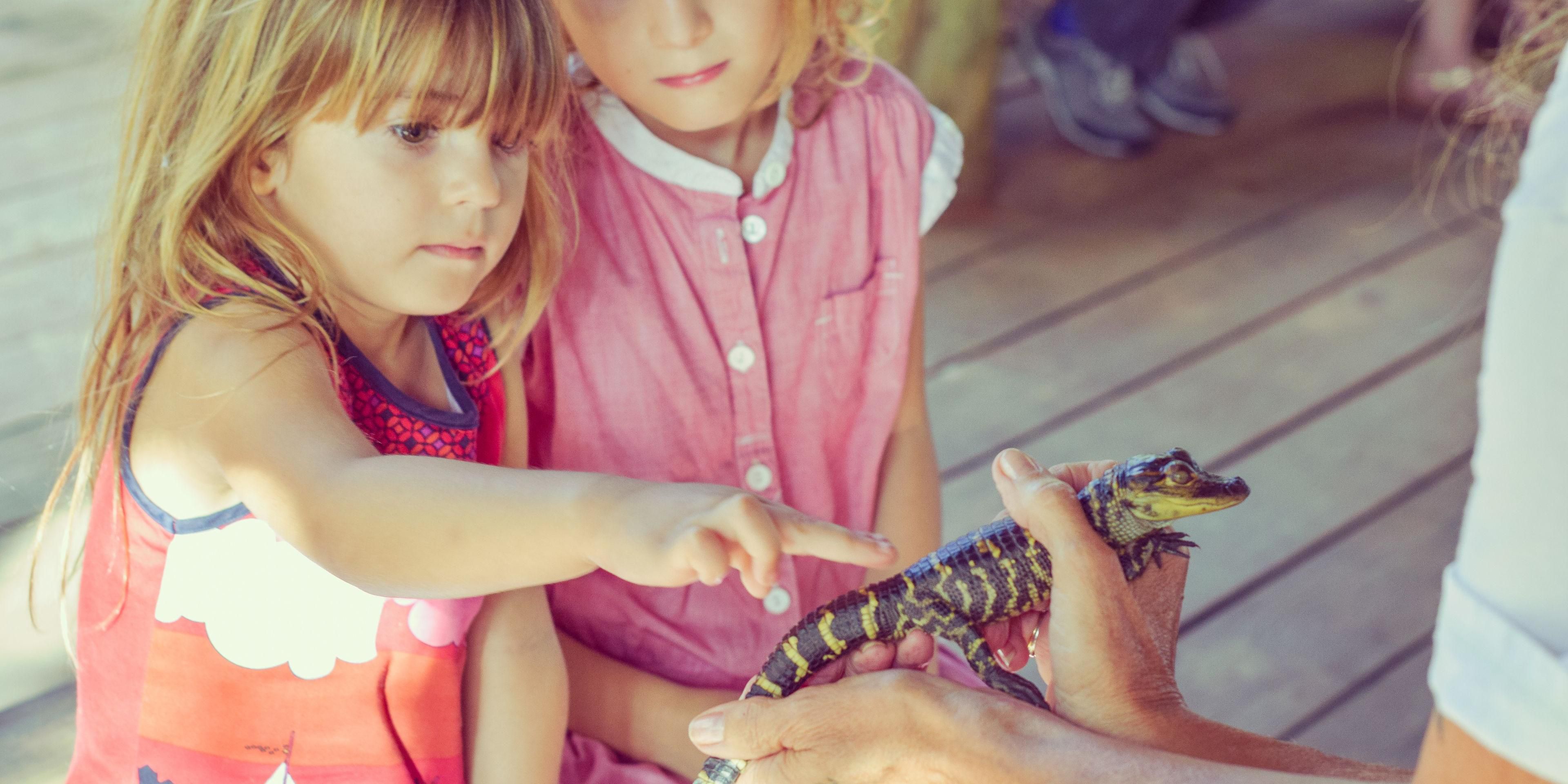 The Living Coast Discovery Center inspires the community to connect with and care for our coastal environment. Check out some bird of prey species native to San Diego, learn about the natural flora and fauna in the area, or participate in a wildlife guided tour. You'll love meeting cute critters who call this sunny city home and enjoy the outdoors.
