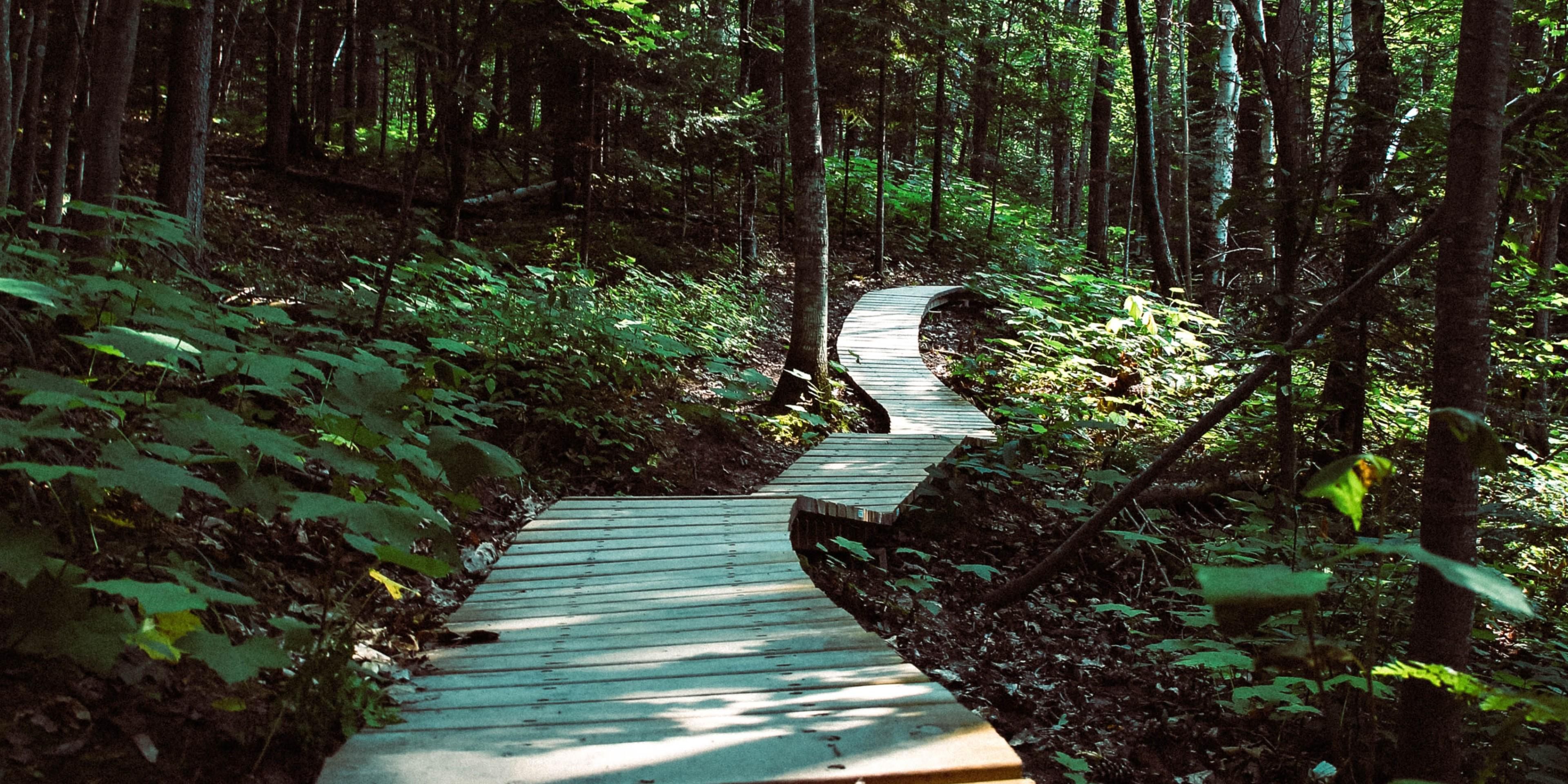 Summer is here! Take a walk down the Rivergreenway Trail stopping at popular historic sites along the way. 