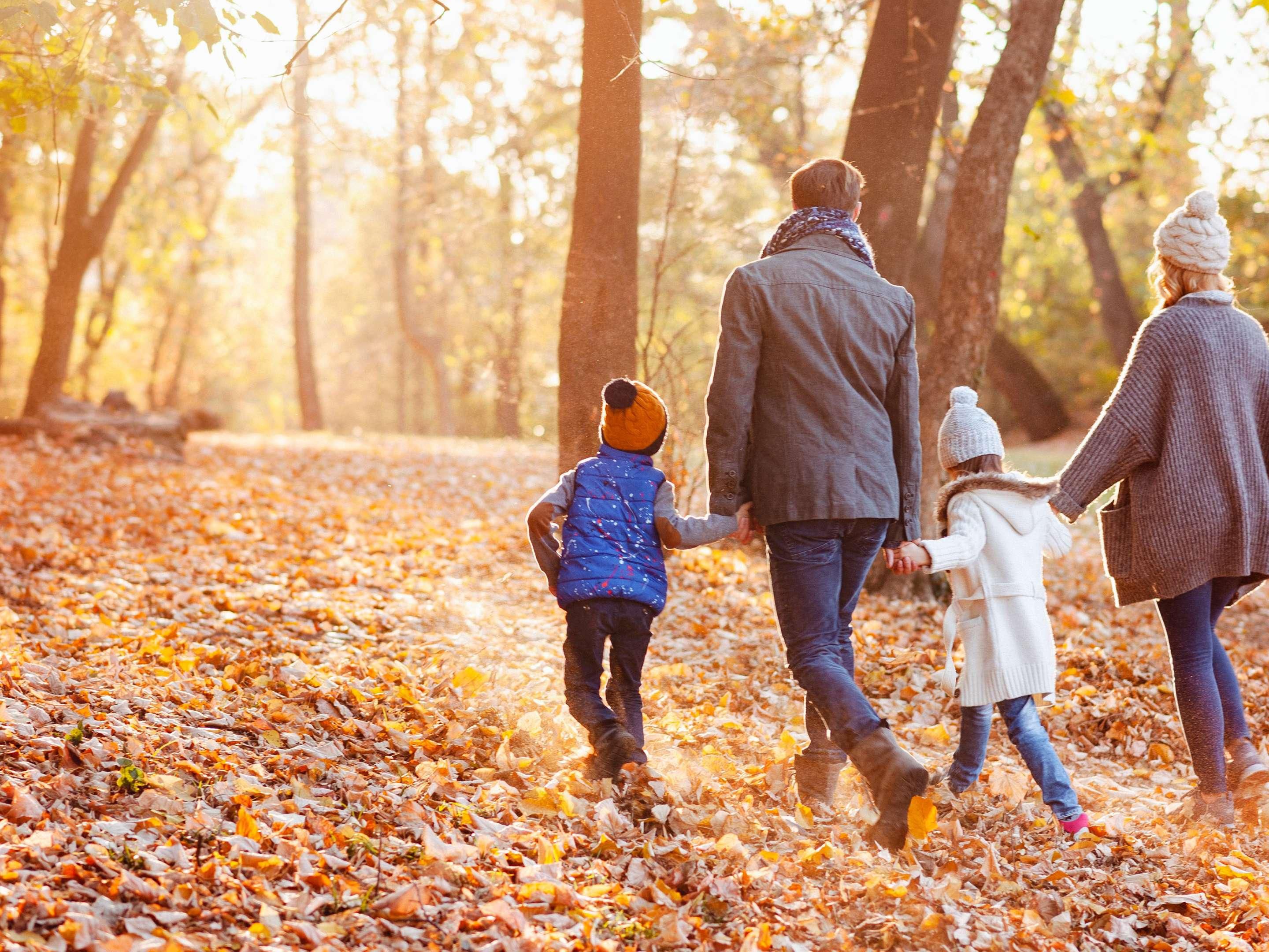 Until 17 years old your children are our guests . For them, no room, breakfast or city tax supplement will be charged. On demand and upon availability, connecting rooms could be allocated to accommodate the whole family. If your child is under 2 years old, a baby bed could be set up in the room.