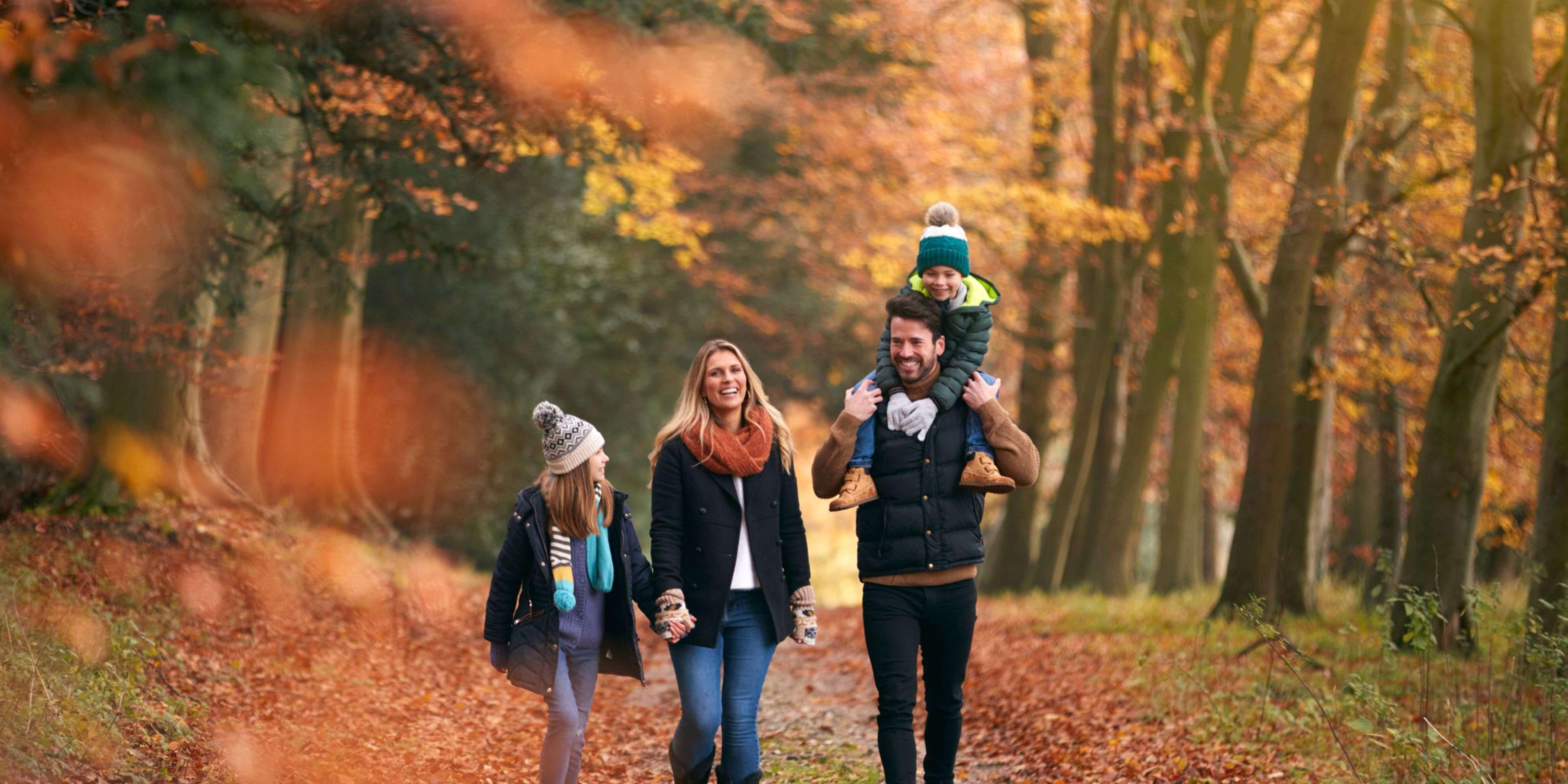 Come cheer on York United FC as they work to make the playoffs this fall at York Lions Stadium, jump-start your holiday shopping at Vaughan Mills, and check out the Halloween Haunt at Canada's Wonderland!