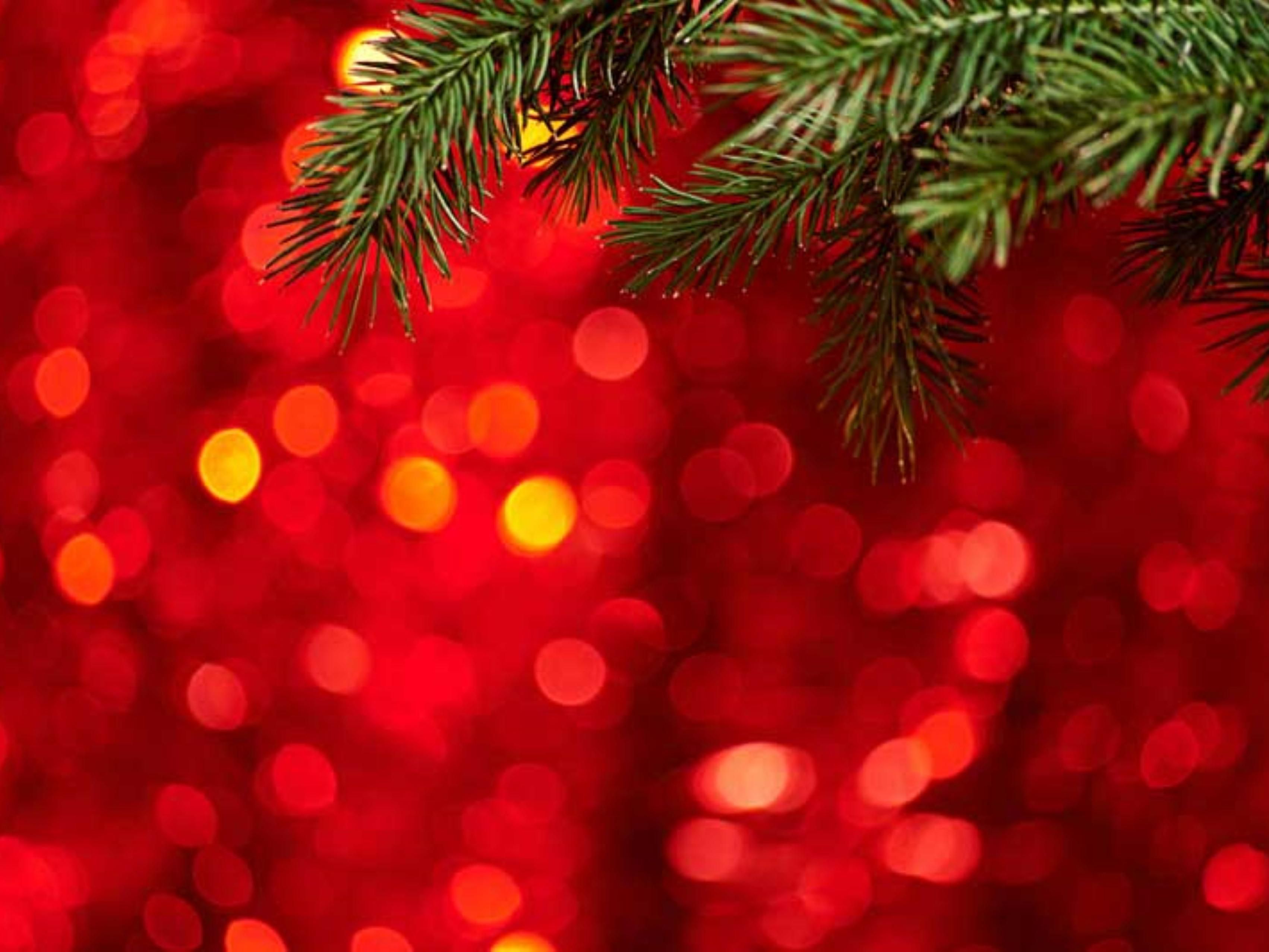 Whether you celebrate the holiday season at Universal, Disney World or SeaWorld out hotel is conveniently located. 