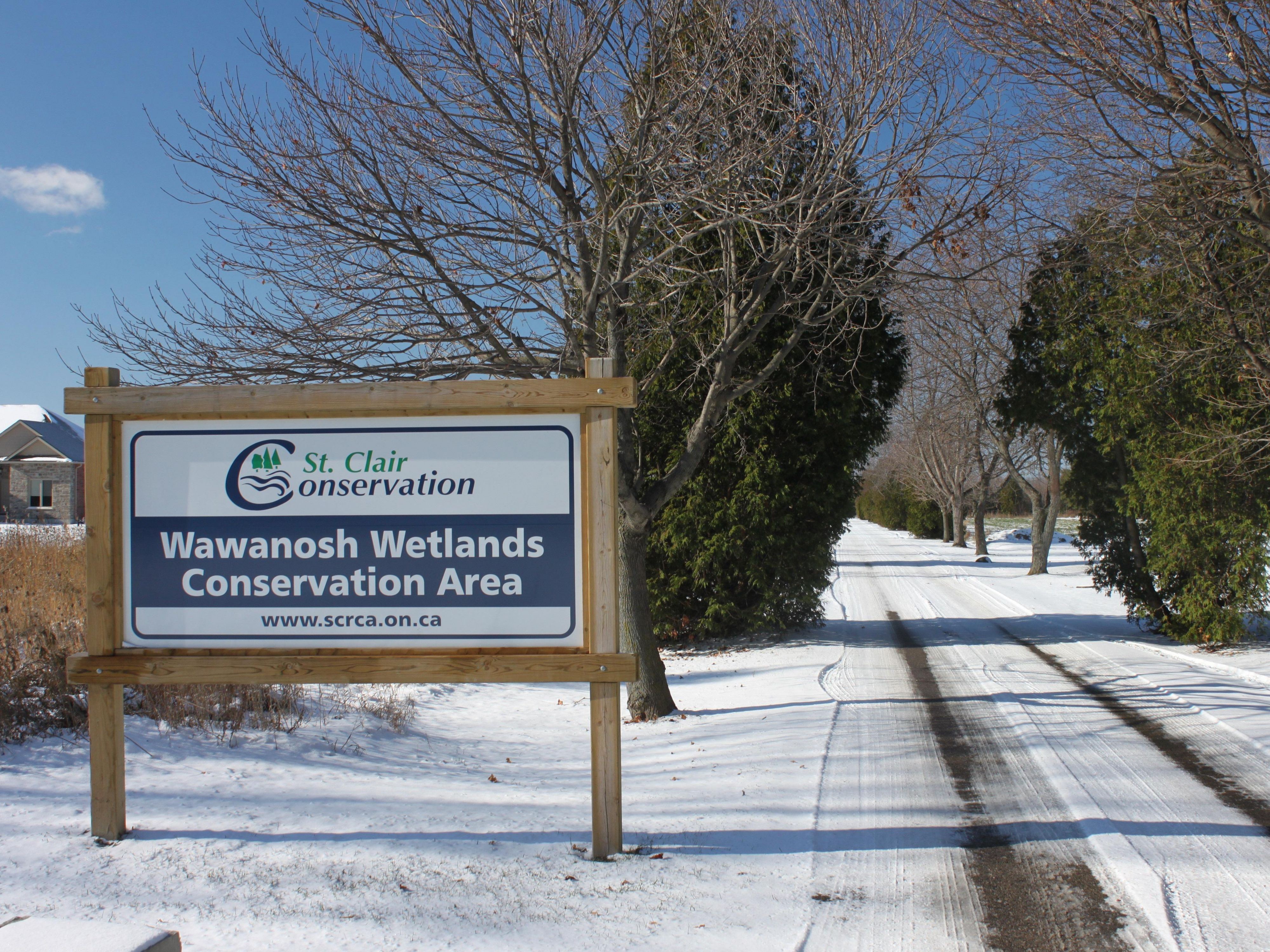 Bundle up and explore Wawanosh Wetlands, a tranquil escape in winter. Wander snowy trails, spot winter birds, and enjoy the serene stillness of nature. It’s the perfect place for a refreshing seasonal walk, offering quiet beauty and crisp air just moments from the hotel.