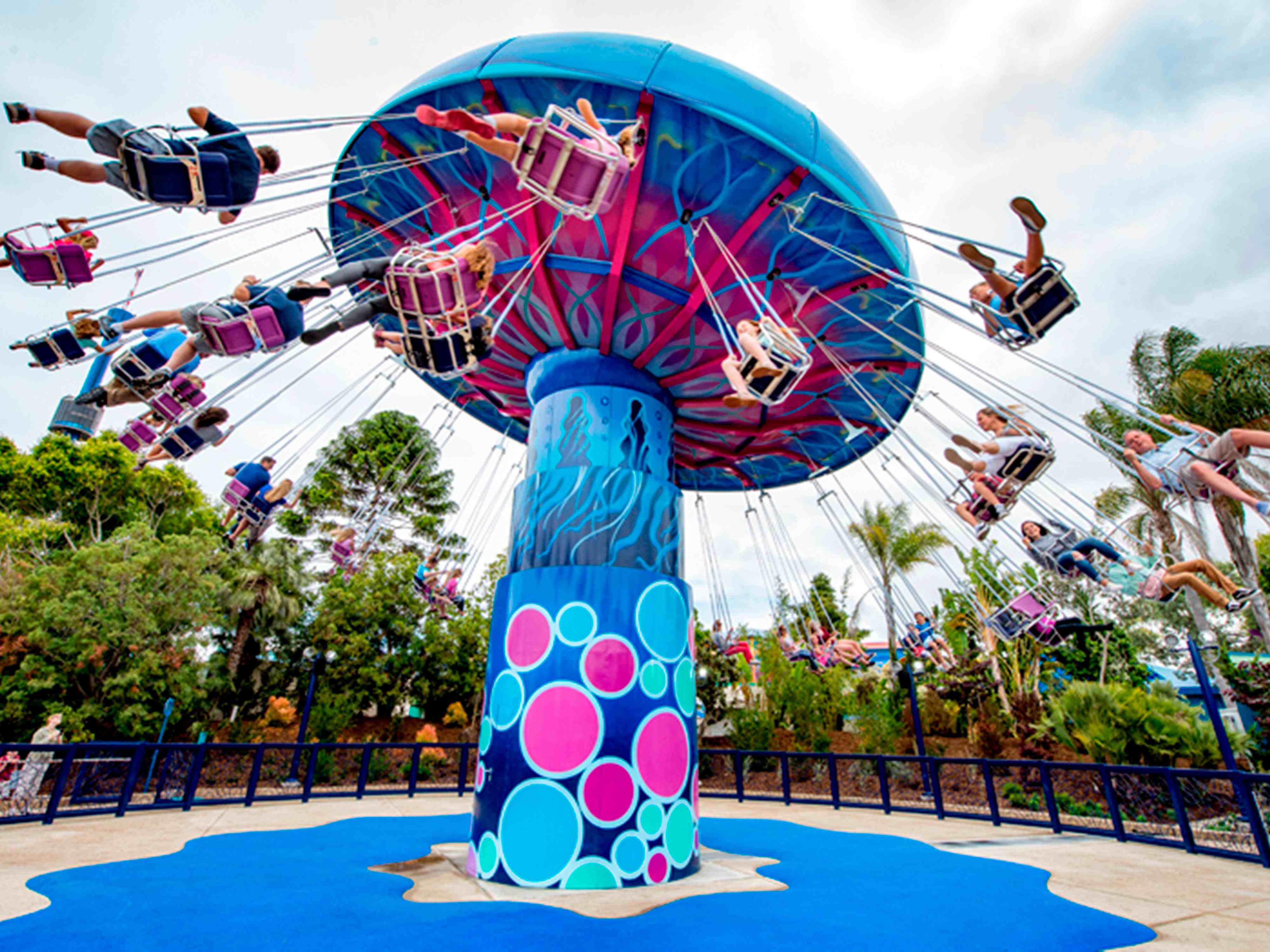 Check out the Tentacle Twirl at Sea World!