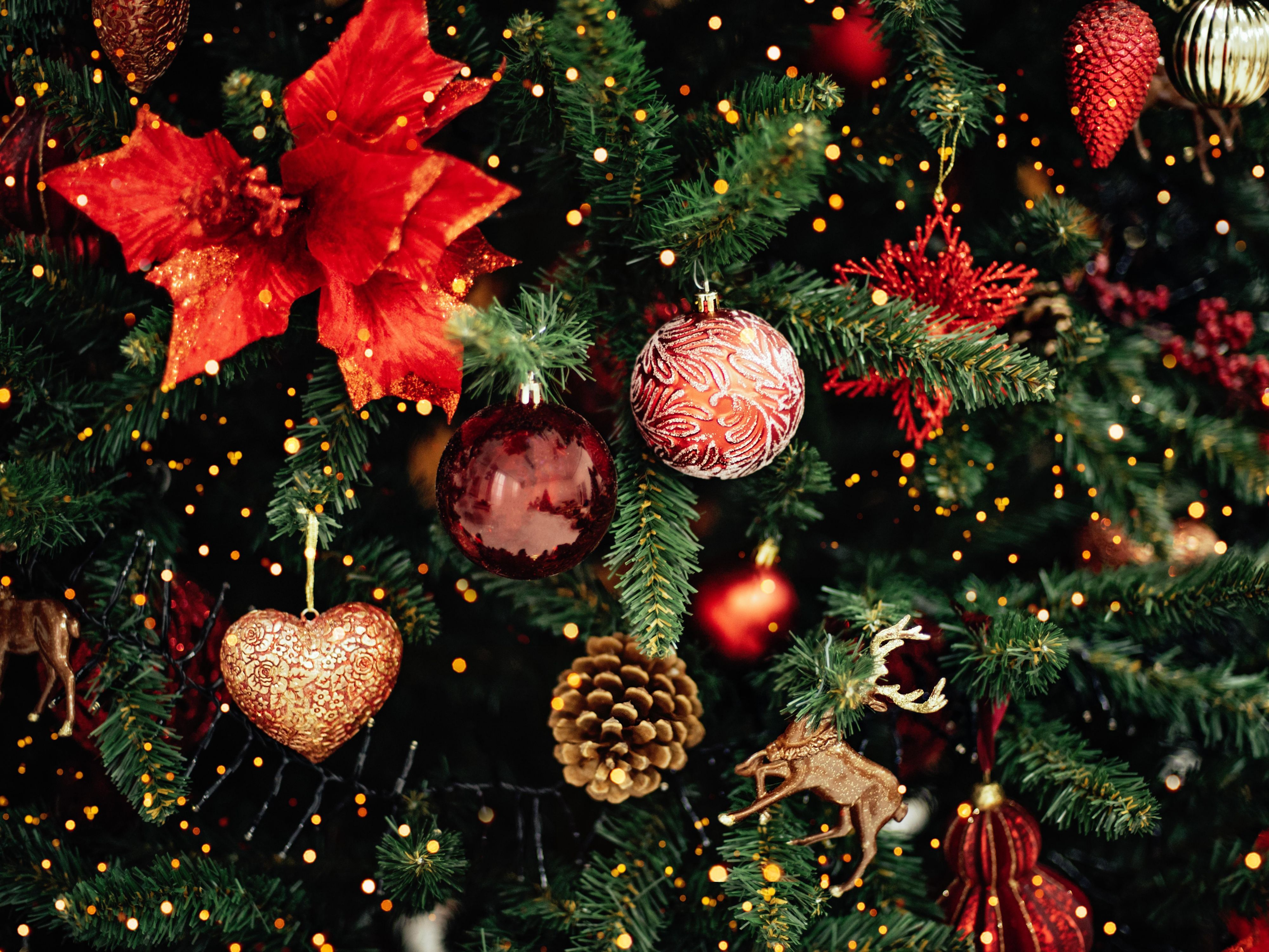 Celebrate the holidays in a unique atmosphere. With us, you will find the best hospitality and excellent service that will make every detail filled with joy. We invite you to stay with us and experience a memorable time during this festive season. We wish you a wonderful New Year!