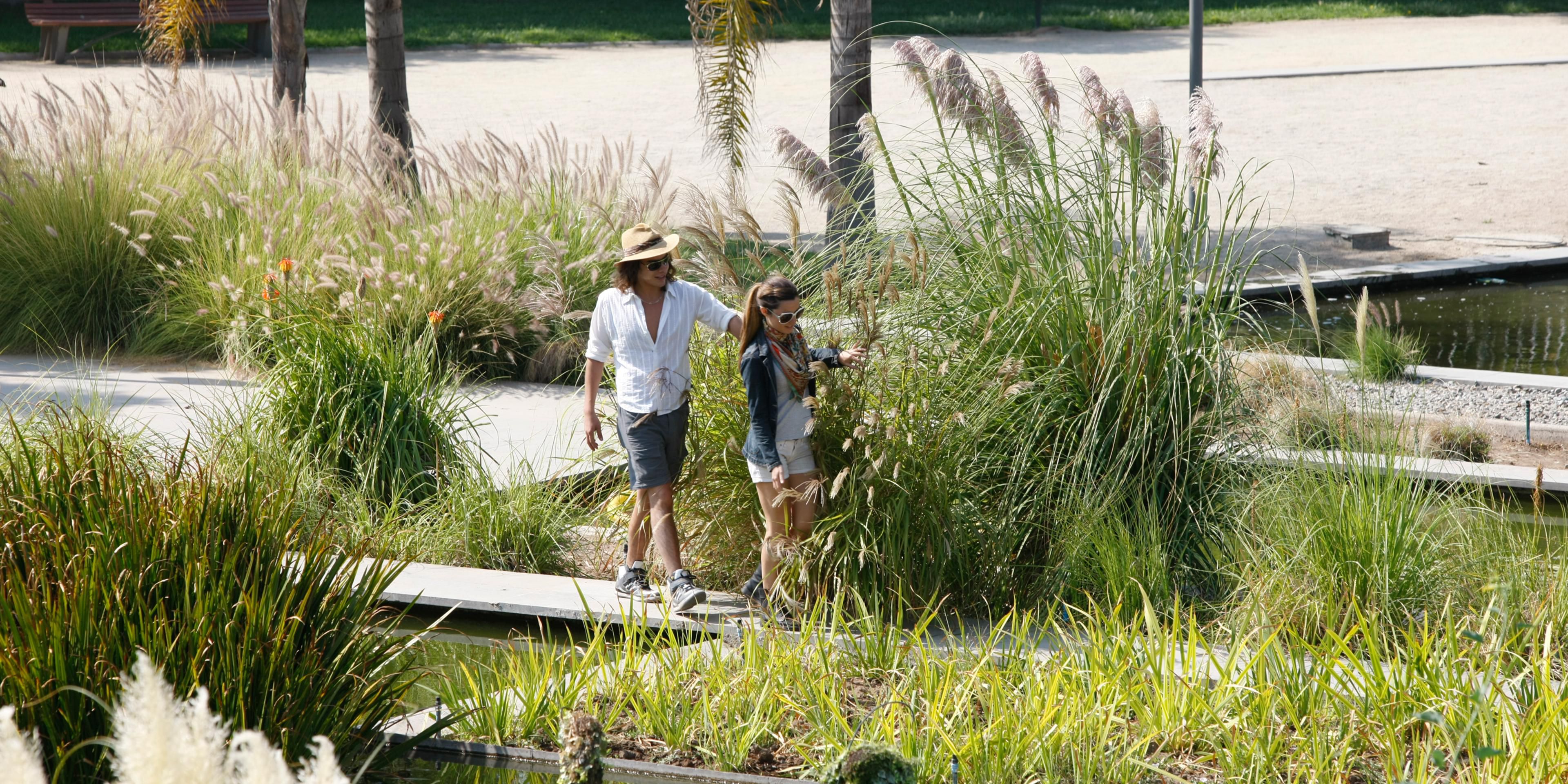 This park is one of the main green areas of the city, and it´s just a few steps from the hotel. With an area of ​​27 hectares, it is an excellent space to play sports, share with family and friends and participate in the different activities that take place on weekends.