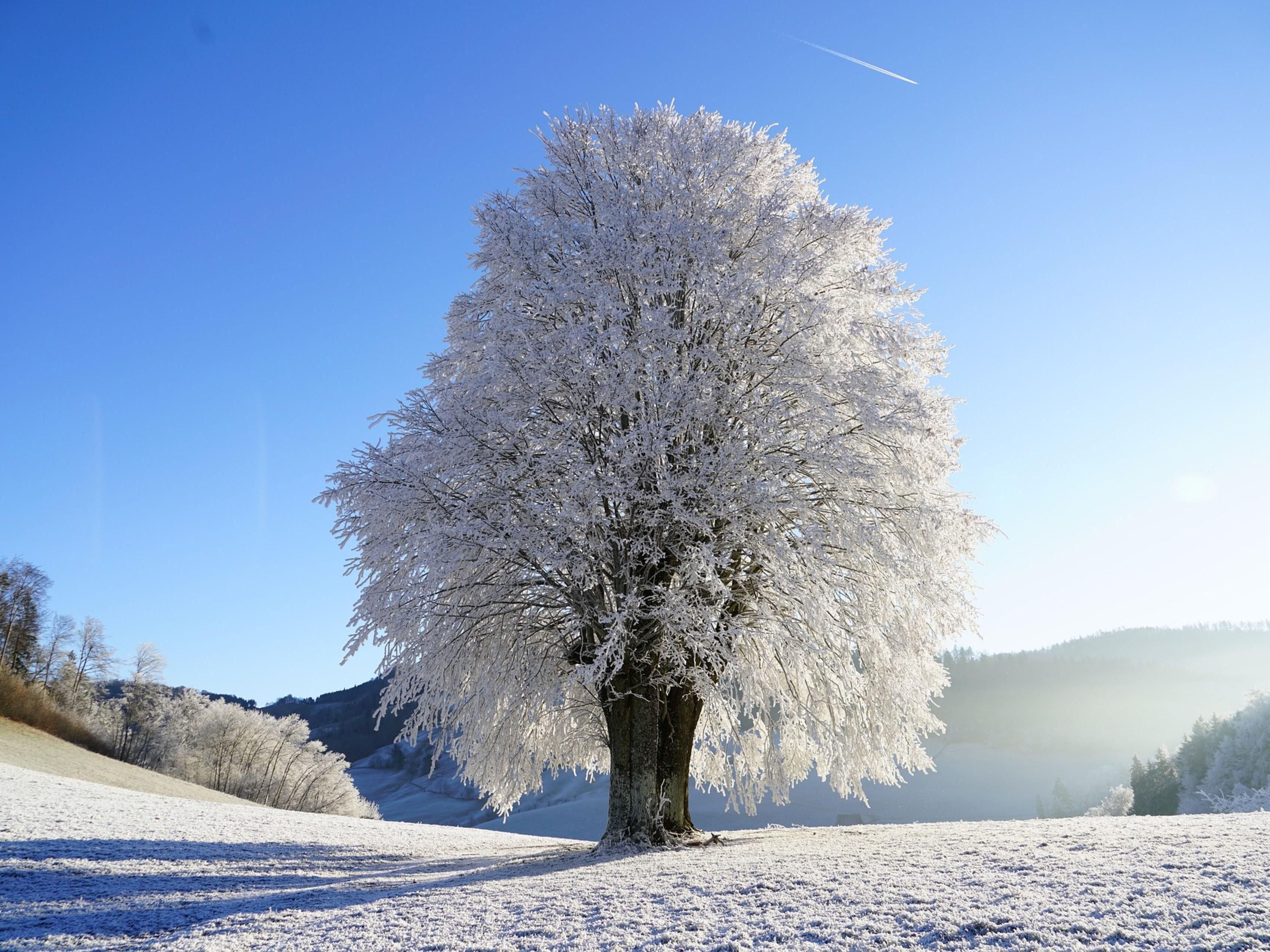 Winter in Siegen