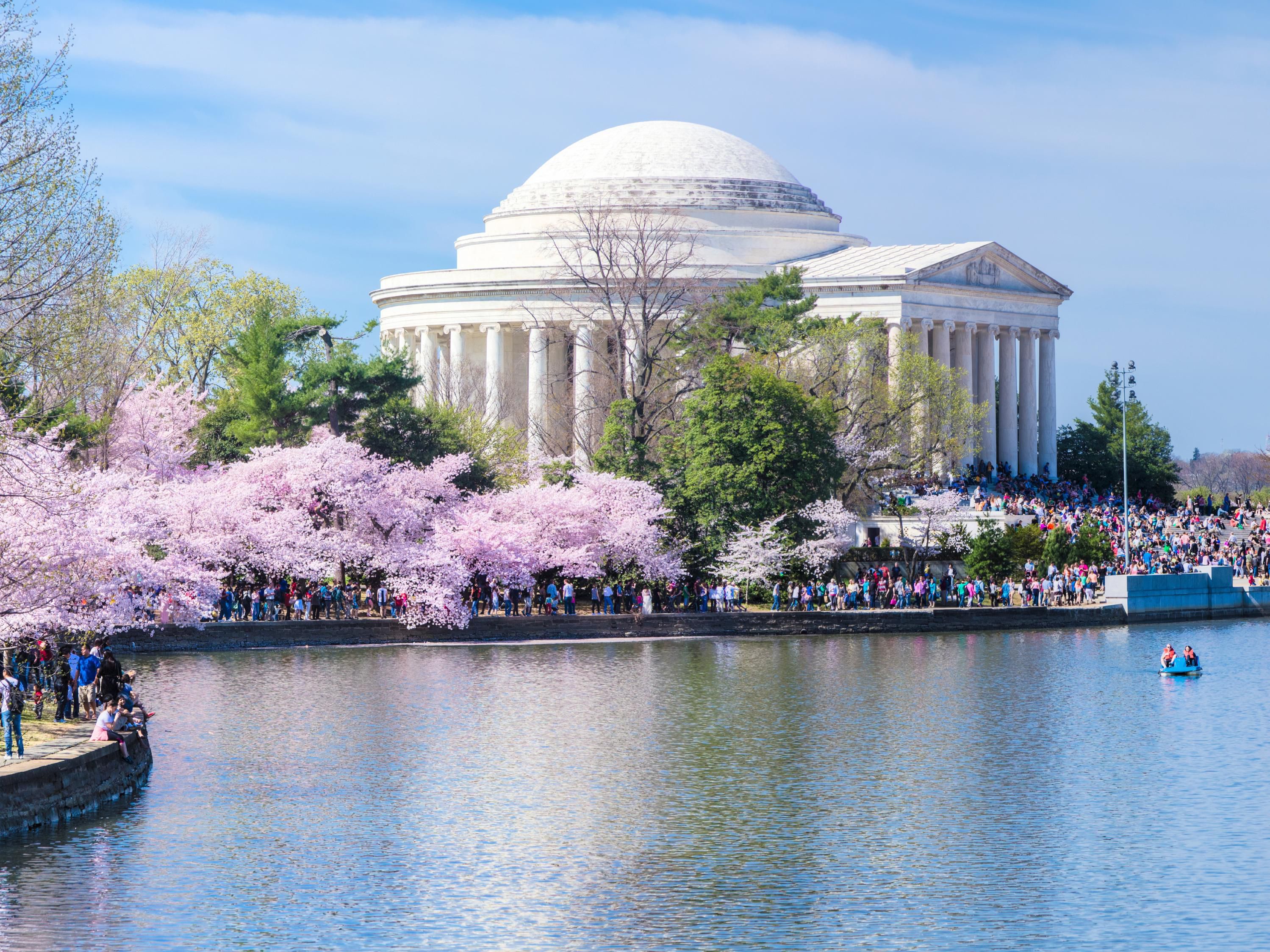 DC Attractions - Cherry Blossoms , Museums, White House, Capital