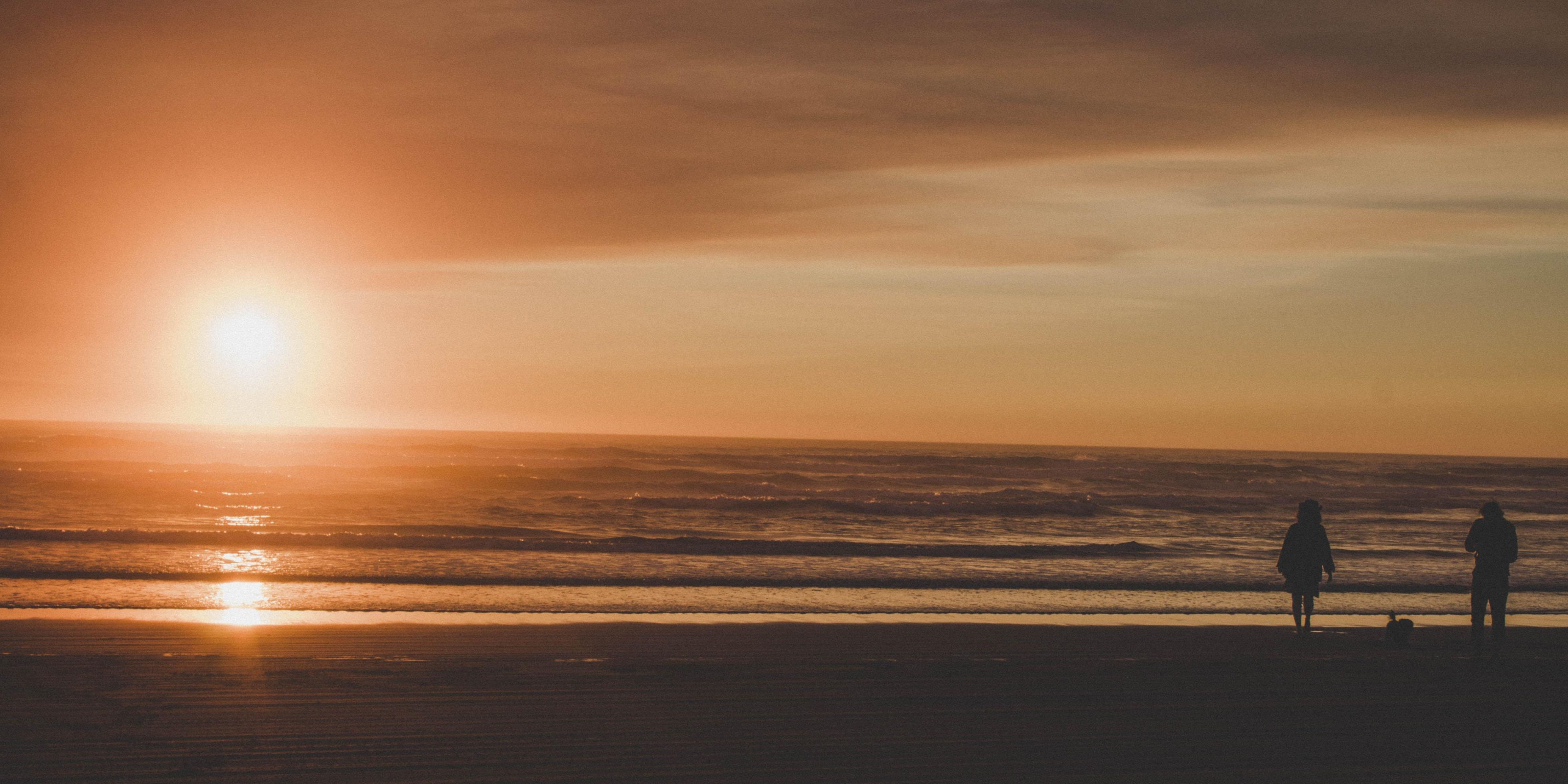 Just over an hour drive from our Springfield Oregon hotel, you will find the beautiful Oregon Coast. Check out shops, great food, or go whale watching, then head back to our hotel for some rest and relaxation!