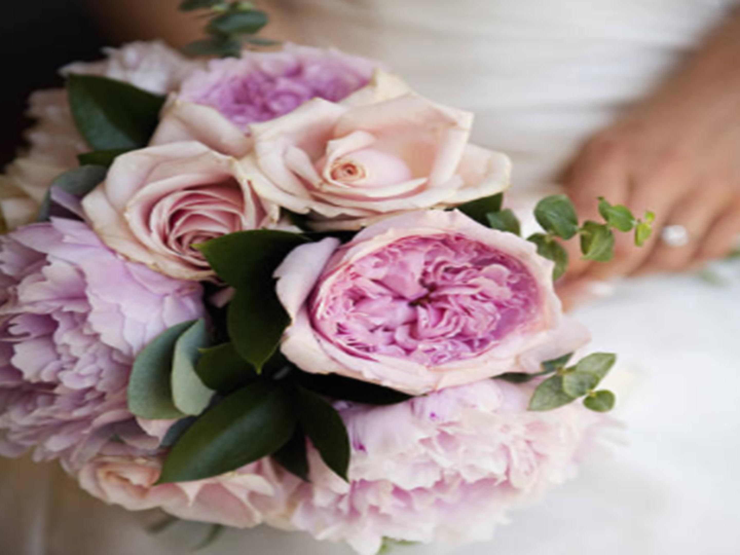 When you reserve your block with us, your friends and family will enjoy affordable accommodations, exceptional customer service & our full-size mirrors as they get ready for your big day! Did we mention they will enjoy complimentary breakfast the following morning? Let us help make your day magical! Please contact us for pricing and availability!
