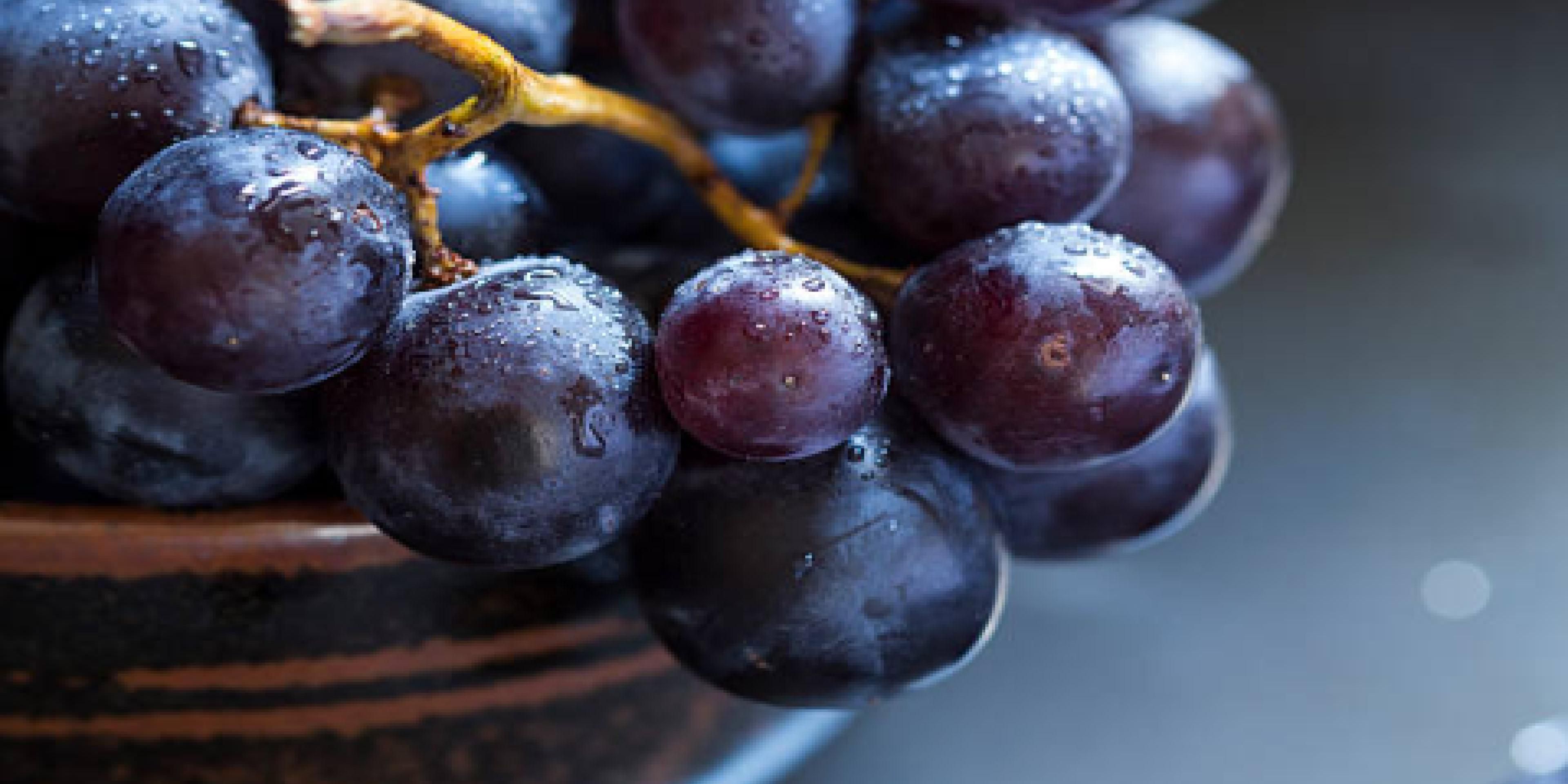 The quality and abundance of locally produced wines in the Saint Croix Valley have opened a whole new dimension as you tour the valley. Many wineries throughout the valley offer tours of their facilities. We recommend you visit the Chateau St. Croix Winery & Vineyard, Dancing Dragonfly Winery and the Deer Lake Winery to name a few. 