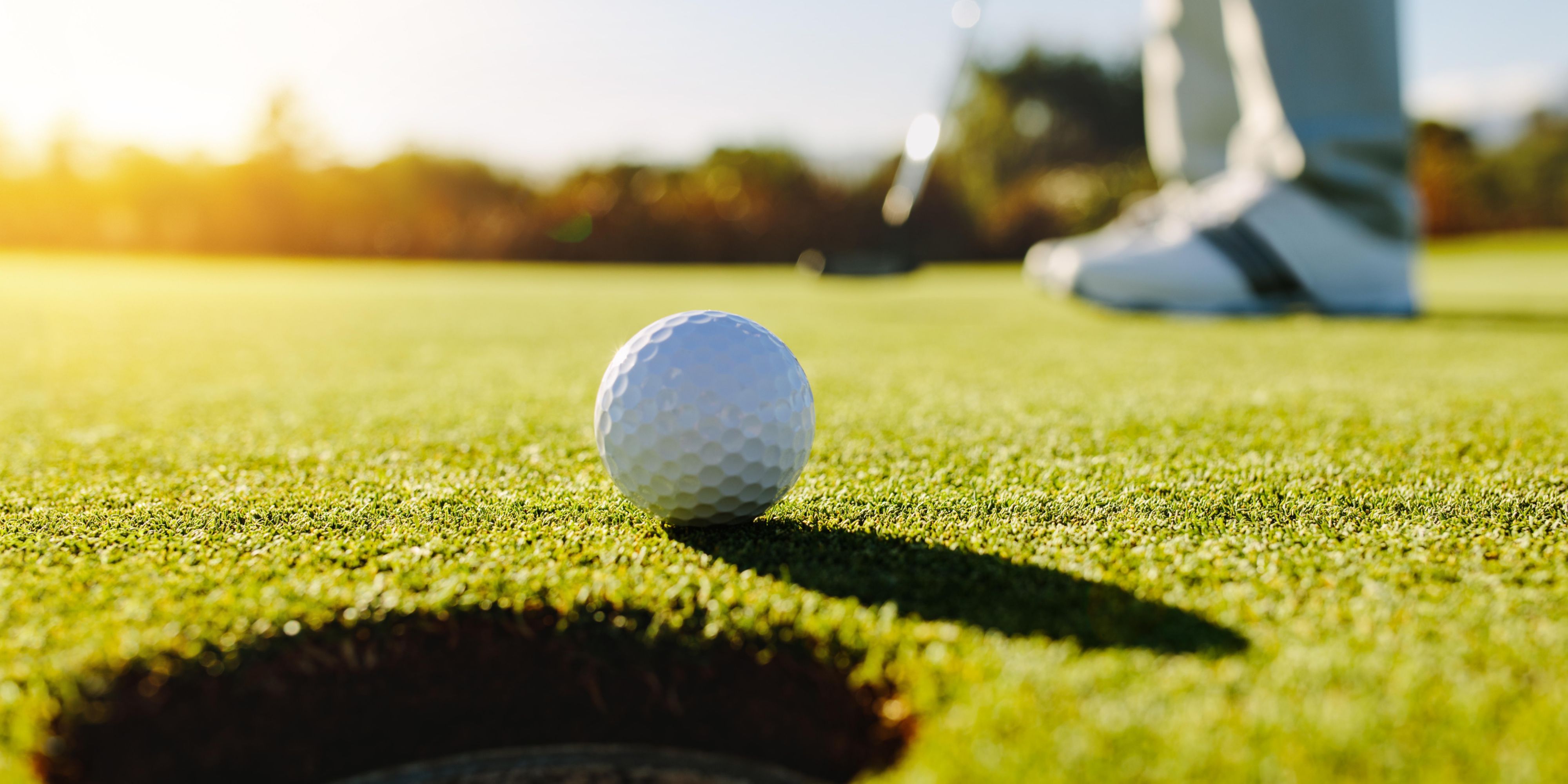 Nearby our hotel are 5 Golf Courses; Golf La Boulie, Golf Saint-Marc, Golf de Villacoublay-air, UGOLF: Golf de Verrières-Le-Buisson, and the world-famous Golf National, which welcomed the Rider Cup in 2018, the 2021's French Open, and in 2024, the Olympics Games!