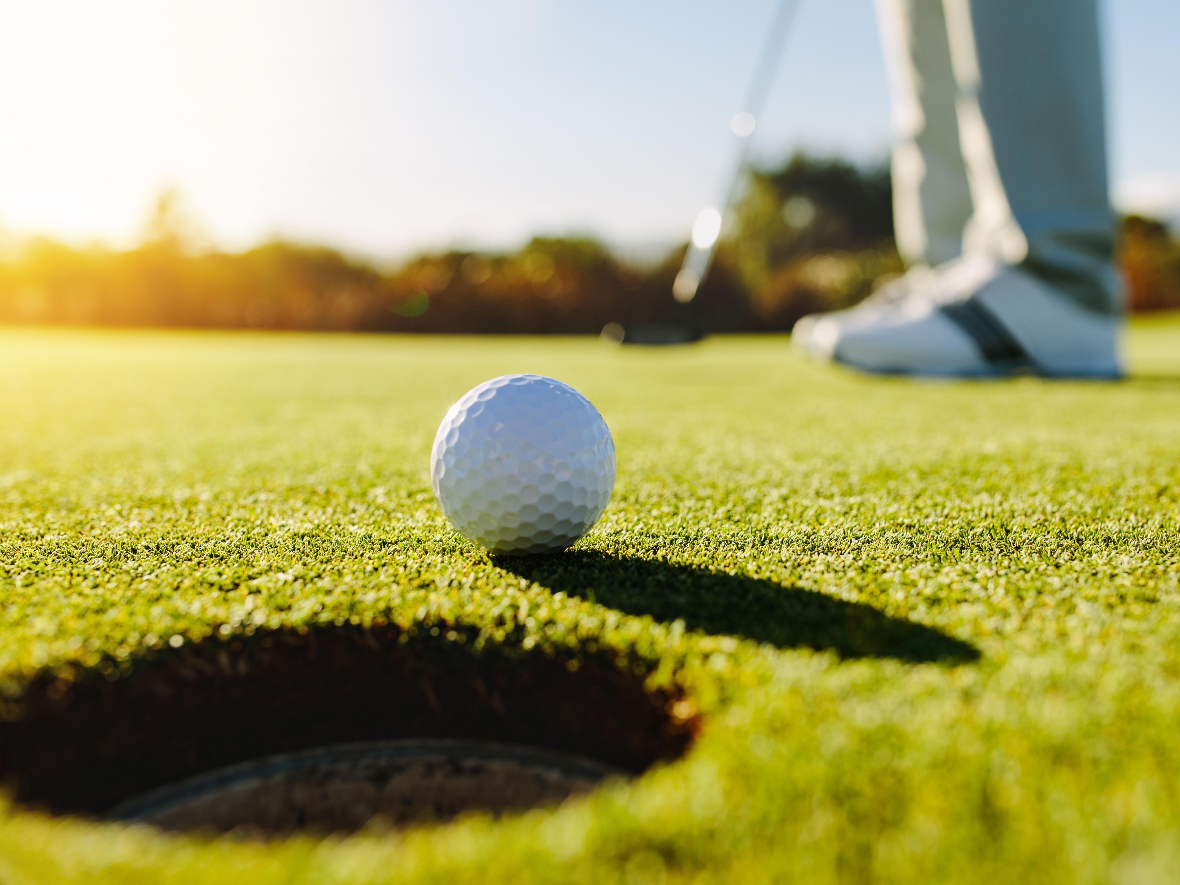 Cerca de nuestro hotel 5 Campos de golf; Golf La Boulie, Golf Saint-Marc, Golf de Villacoublay-air, UGOLF: Golf de Verrières-Le-Buisson, y el mundialmente famoso Golf National, que acogió la Rider Cup en 2018, el 2021 francés ¡Abiertos, y en 2024, los Juegos Olímpicos!