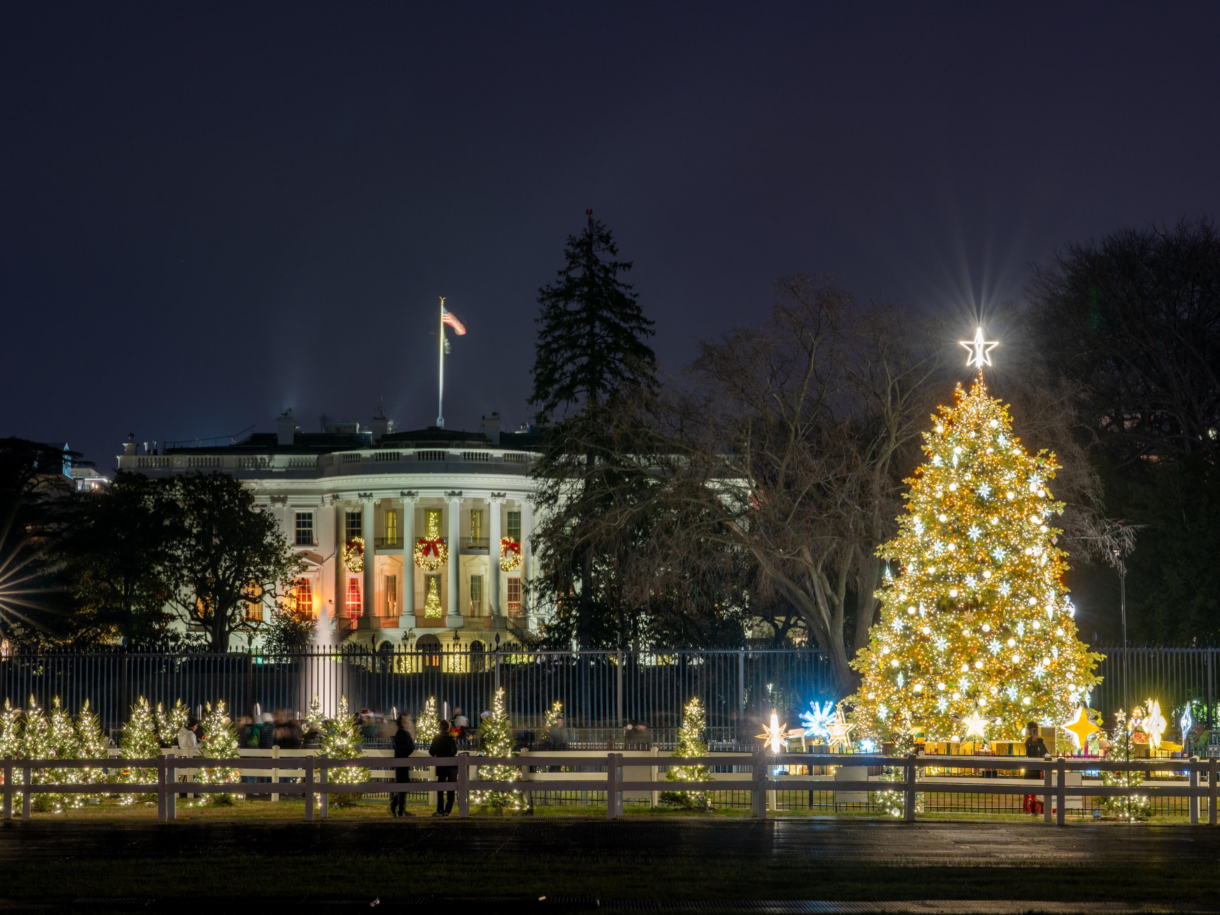 Experience the magic of the holidays in Washington, DC just steps from our front door. From the annual lighting of the
National Christmas Tree Lighting Ceremony and Ice Skating at the Smithsonian Sculpture Garden to a Christmas Carol at Ford’s Theatre
and The Nutcracker at the Washington Ballet, there’s something
festive for every traveler. 