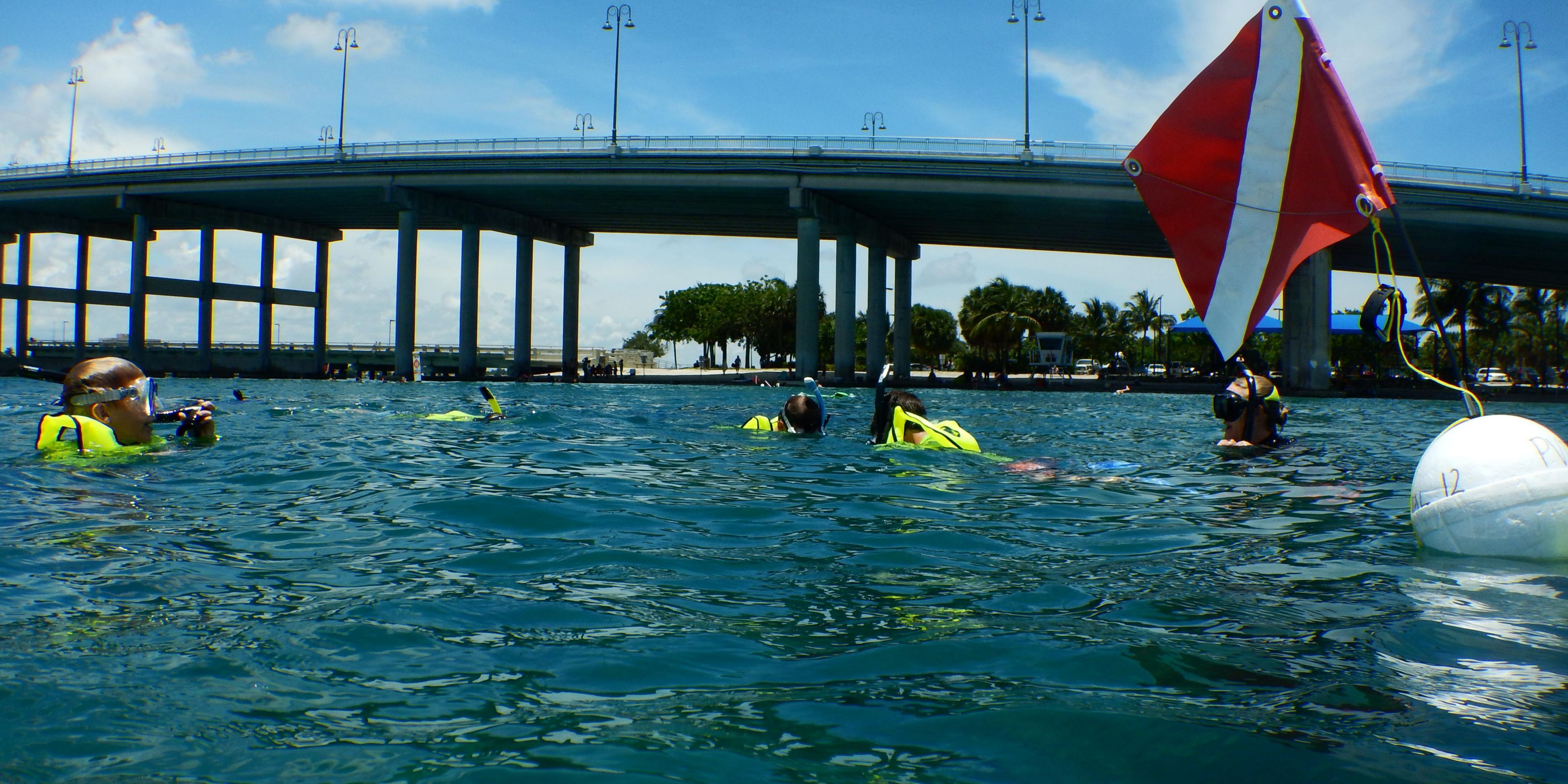 The world famous waters under the Blue Heron Bridge and one-of-the-kind the Underwater Snorkel Trail make a premier spot for experienced scuba divers and beginner snorkelers alike. Underwater photographers delight in the abundance of unique marine life, with frequent visits from stingrays, eels, giant starfish, brightly-colored tropical fish.