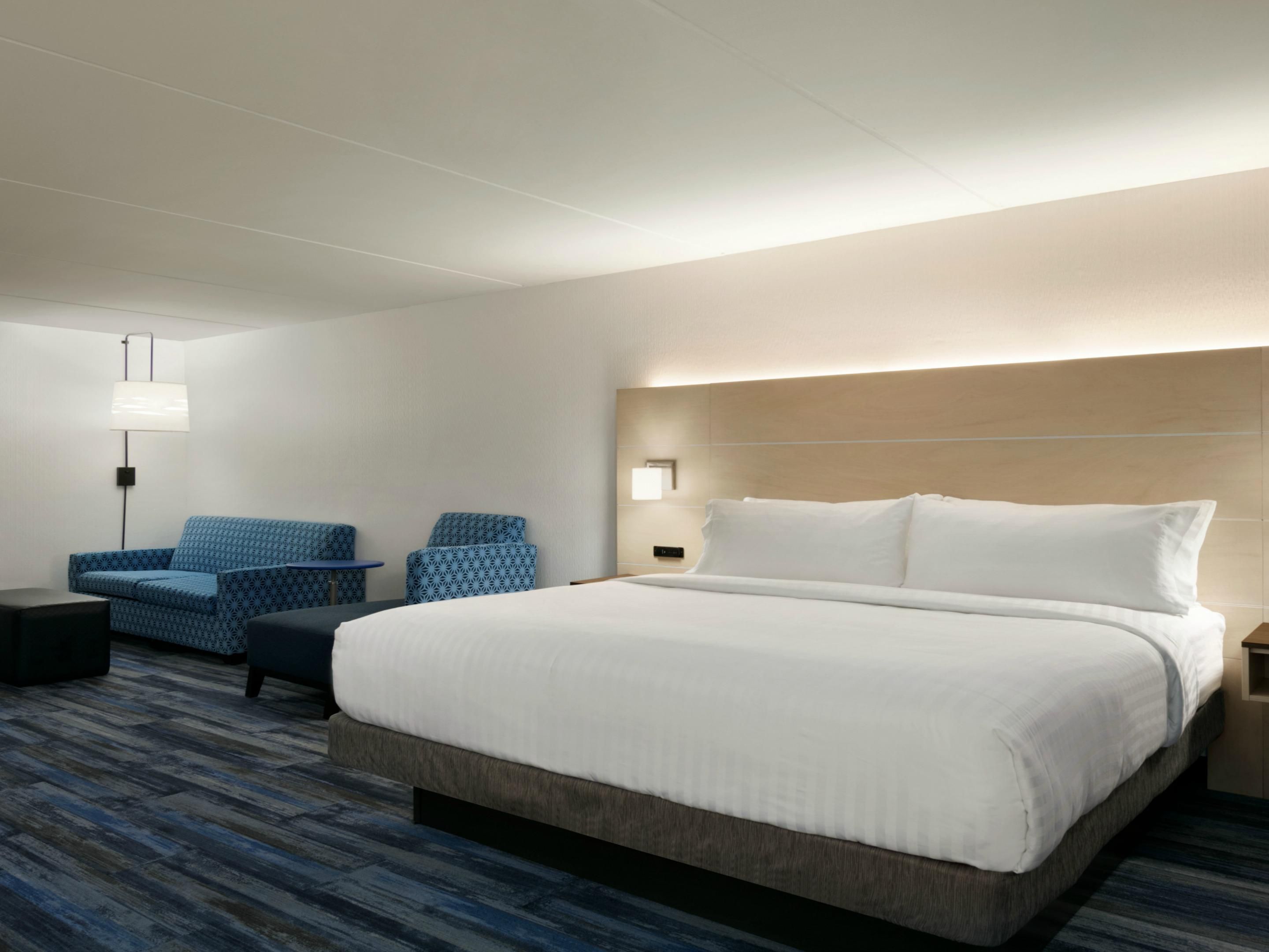 Executive King Suite with Sofa Bed
