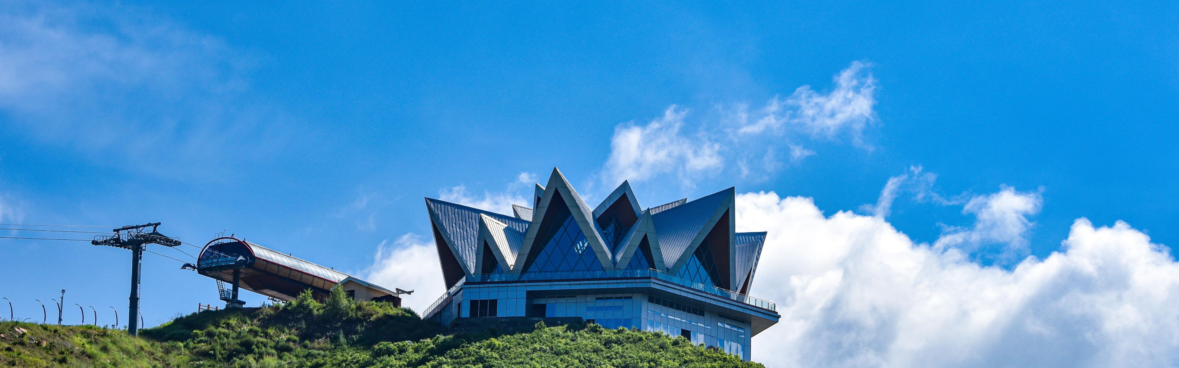 Free Bird Library