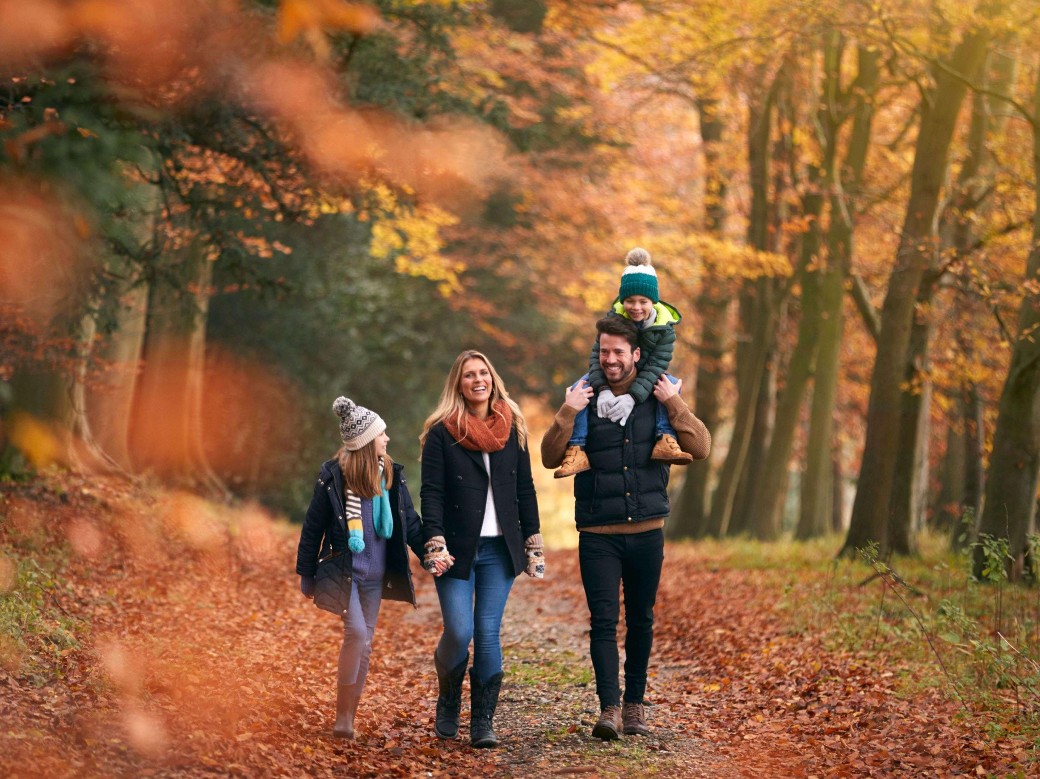 Be sure to visit Gatineau Park, which offers some of the most scenic hiking trails and challenging mountain bike terrain in the area. With its stunning fall foliage and breathtaking views, Gatineau Park is the perfect place to experience the beauty of autumn in all its glory.  Stay with us on your next adventure
