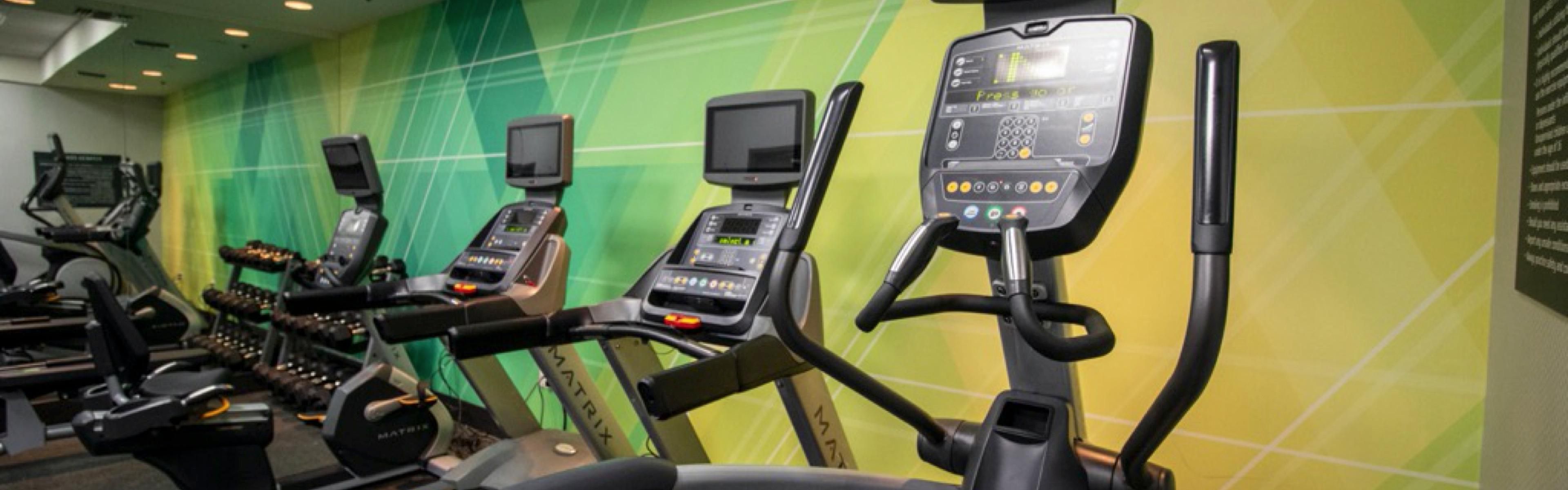 PetFriendly Hotels Grand Rapids MI Holiday Inn Grand Rapids Downtown