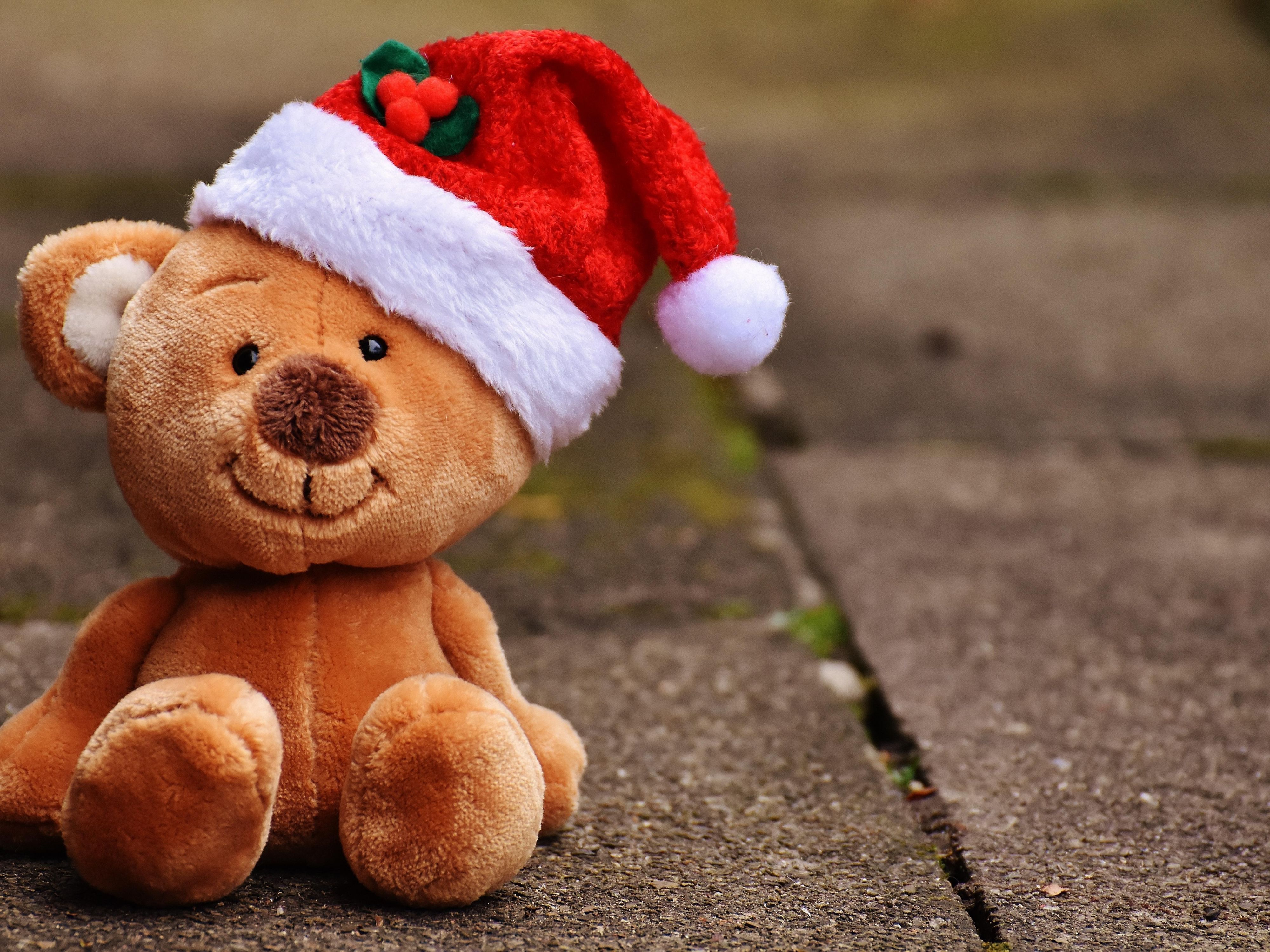 Tis the Season For Giving