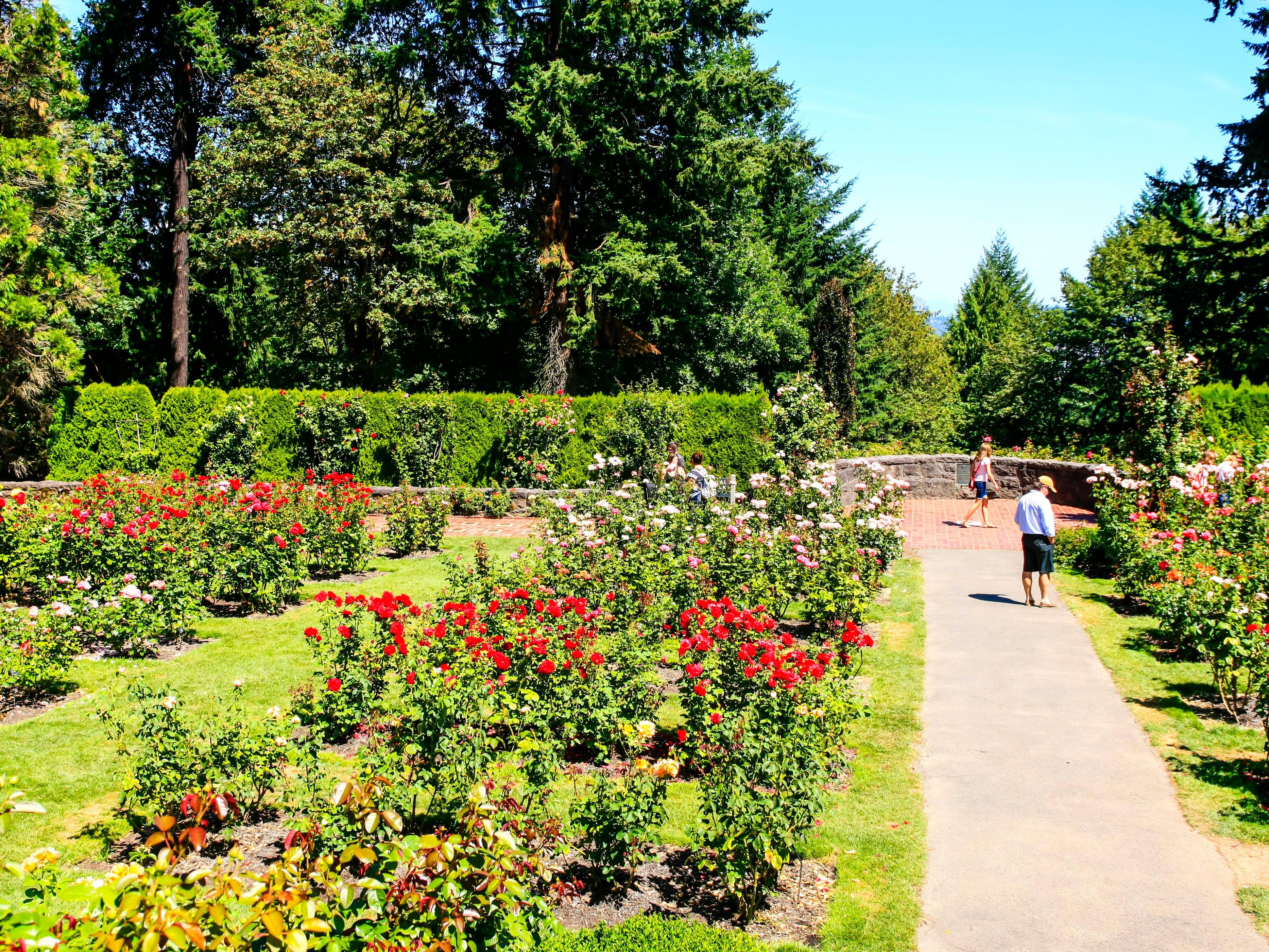Holiday Inn Portland West Hillsboro is in the heart of it all.  Explore nearby Willamette Valley Wine Country, Oregon Zoo or Japanese Gardens.  If you prefer to be indoors, reserve a bay at TopGolf or enjoy tax-free shopping at Streets of Tanasbourne. Need a recommendation?  Ask our knowledgeable front desk team!