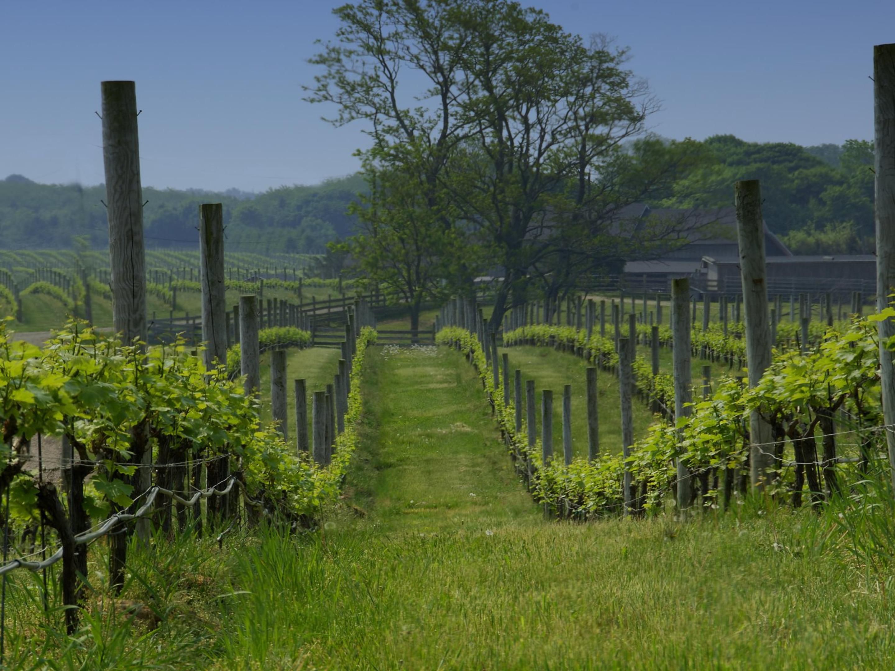 The heart of Long Island's Wine Country is located just 30 minutes from the hotel. Spend the day meandering through the countryside on your own, or book one of the numerous guided tours available. Our knowledgeable front desk can assist with any questions you have. 