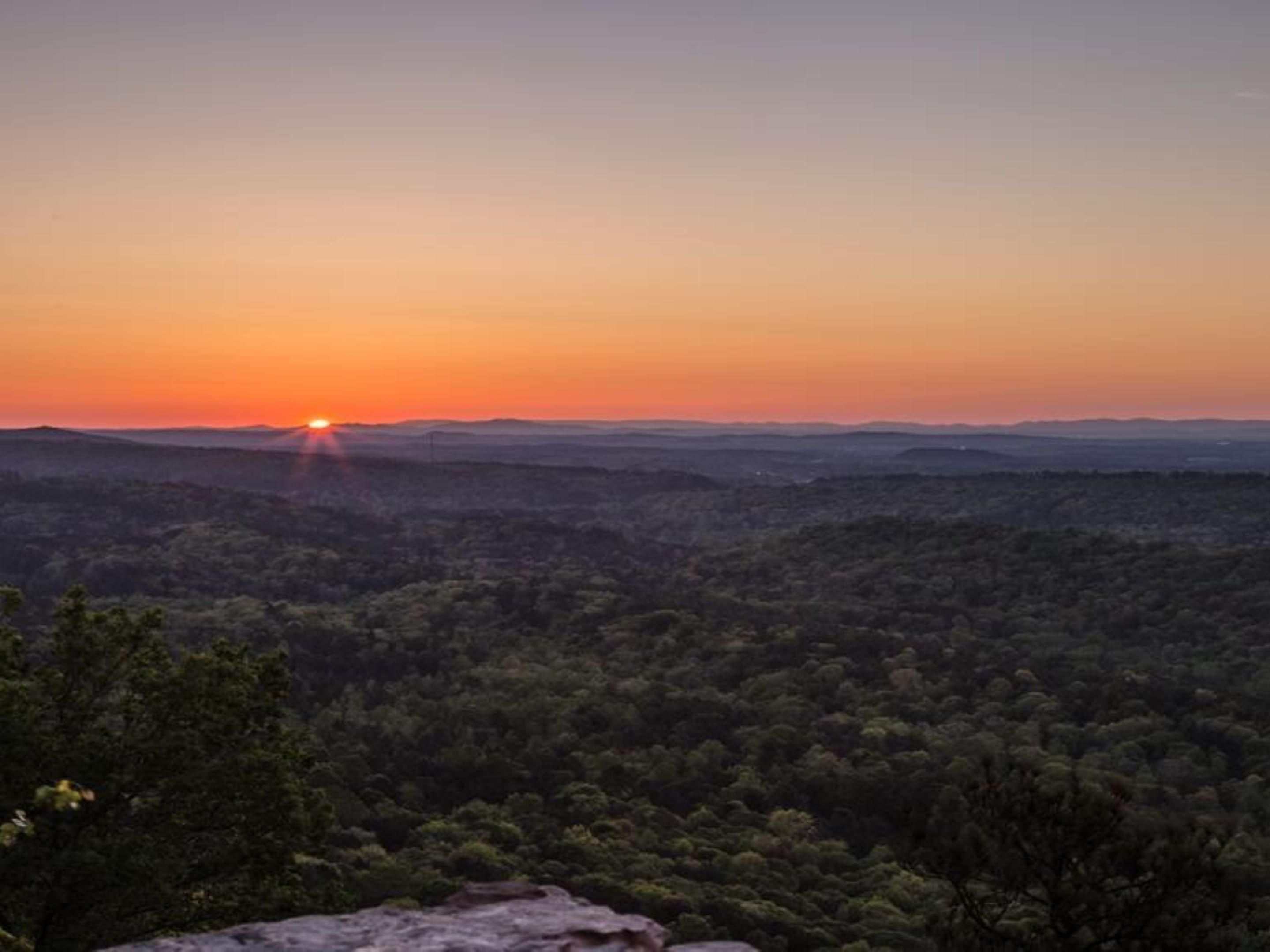 Enjoy the outdoors at nearby Oak Mountain State Park (10 miles away) and Moss Rock Preserve (4 miles away). Take for a scenic hike, mountain bike on epic trails, or go fishing or swimming in one of the beautiful lakes of Oak Mountain.