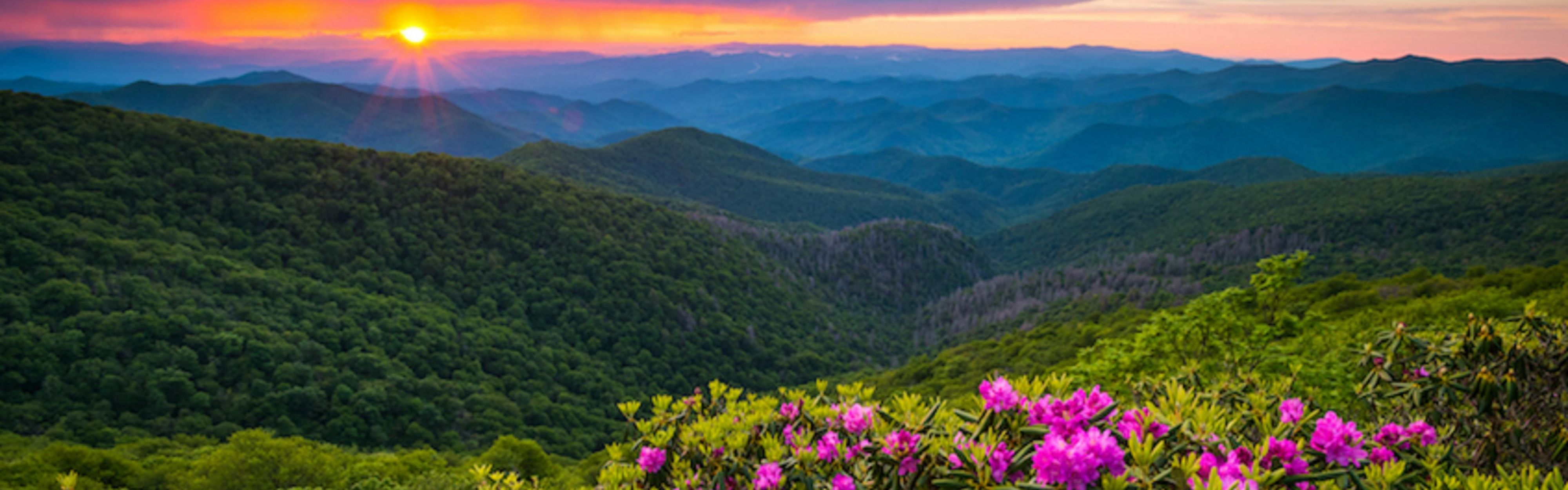 Enjoy summertime in Asheville, North Carolina.