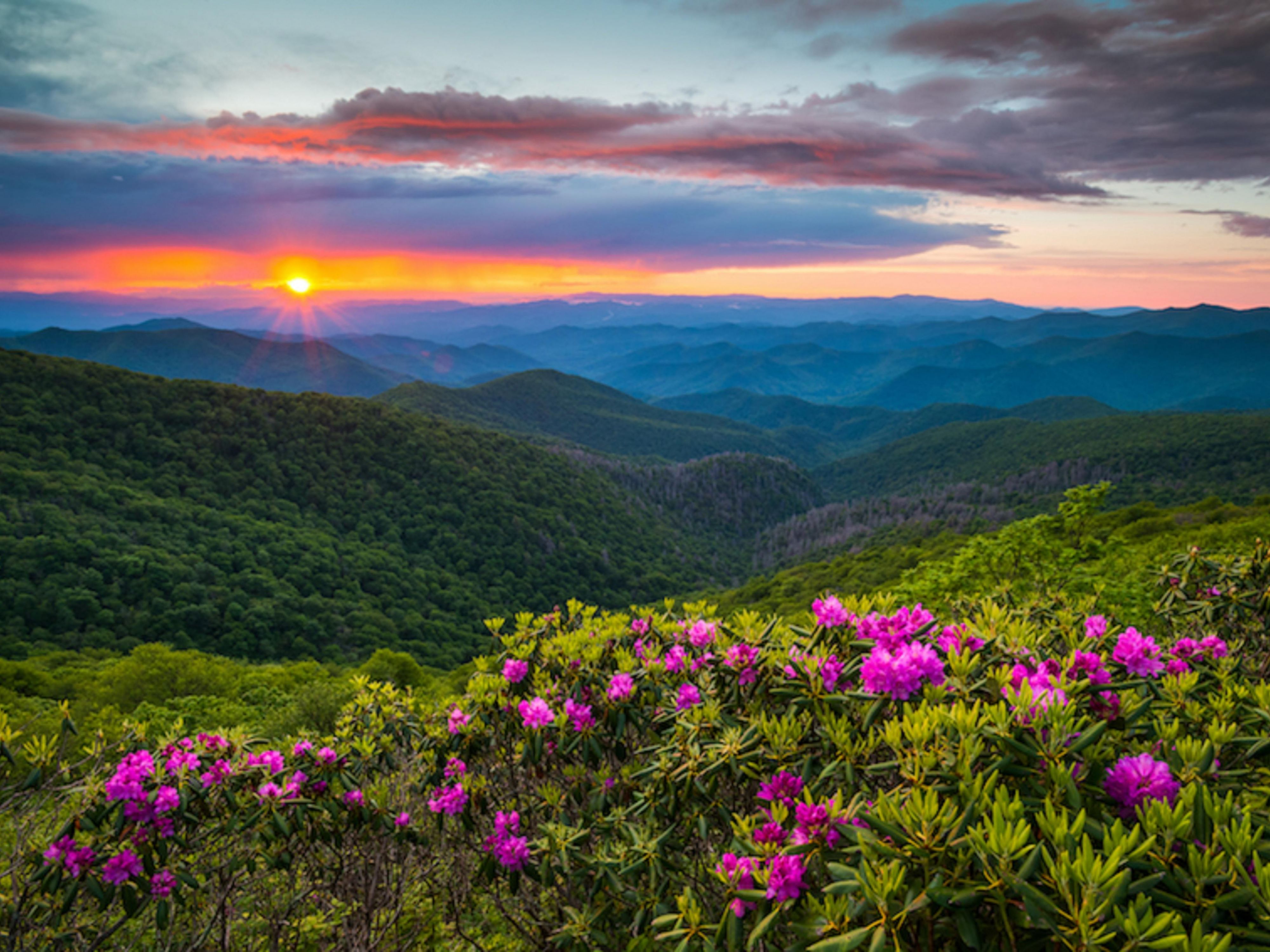 Get your explorer shoes on and relax in nature at the many stops and scenic overviews of the Blue Ridge Parkway! Drive through the mountain tunnels into a world of beautiful landscapes far and wide!  