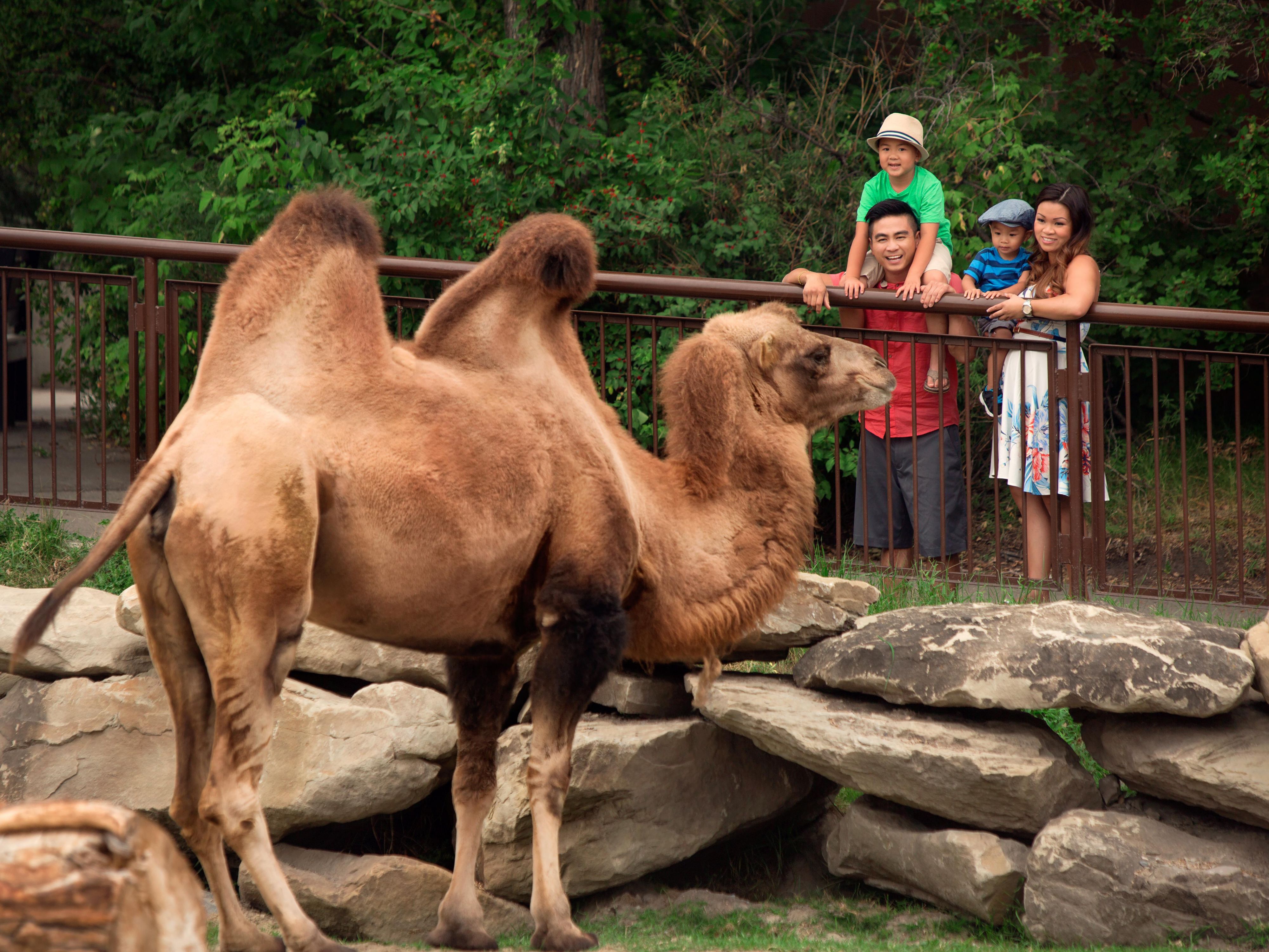 Calgary Hotels | Holiday Inn & Suites Calgary South - Conference Ctr