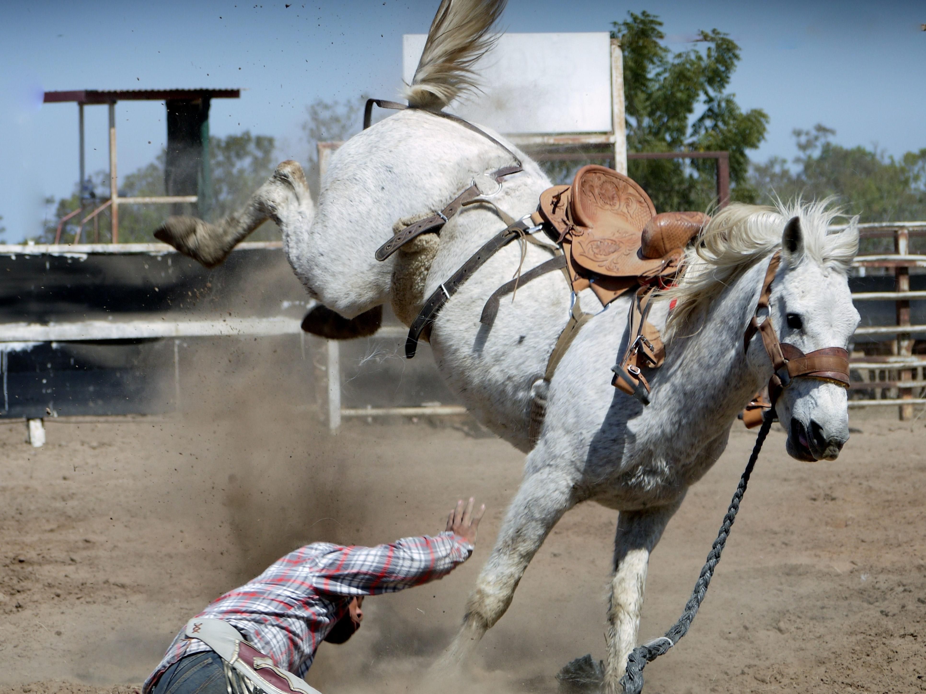 Horses fall. Падение с лошади. Всадник падает с лошади.